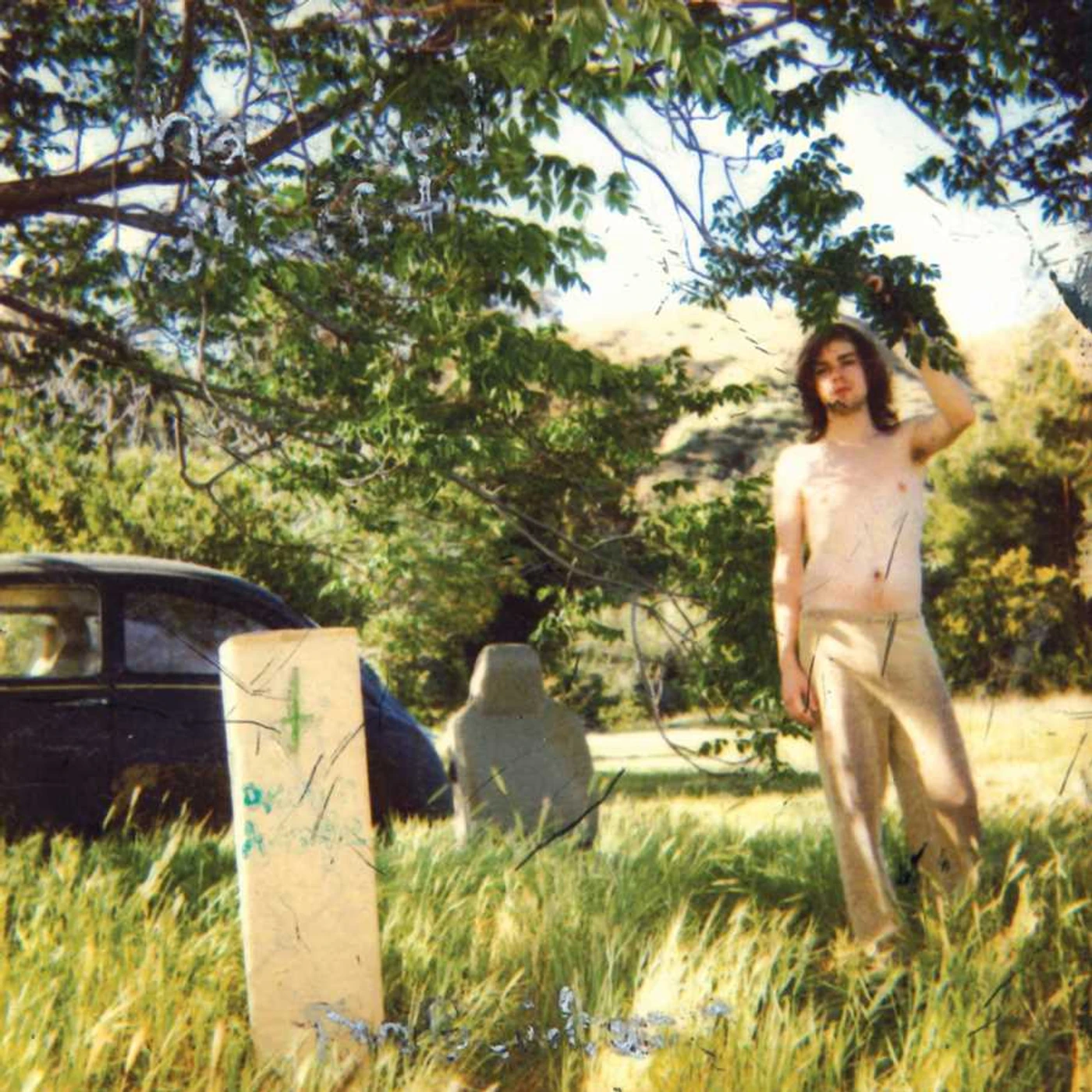 Ariel Pink's Haunted Graffiti DOLDRUMS (REMASTERED) (2LP/DL CARD/COVER REDESIGN BY HIM) Vinyl Record