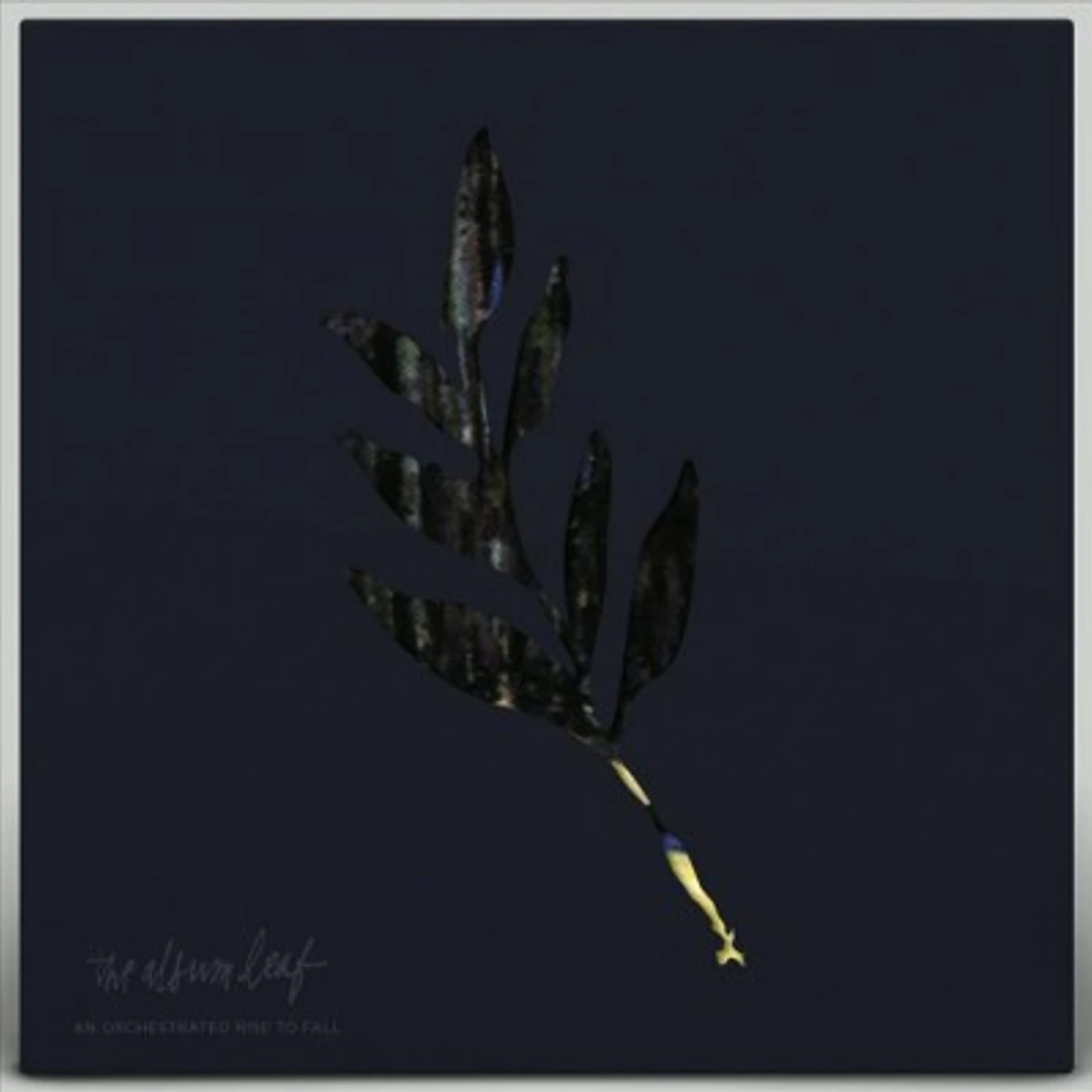The Album Leaf AN ORCHESTRATED RISE TO FALL (BLUE & YELLOW STARBURST VINYL) Vinyl Record