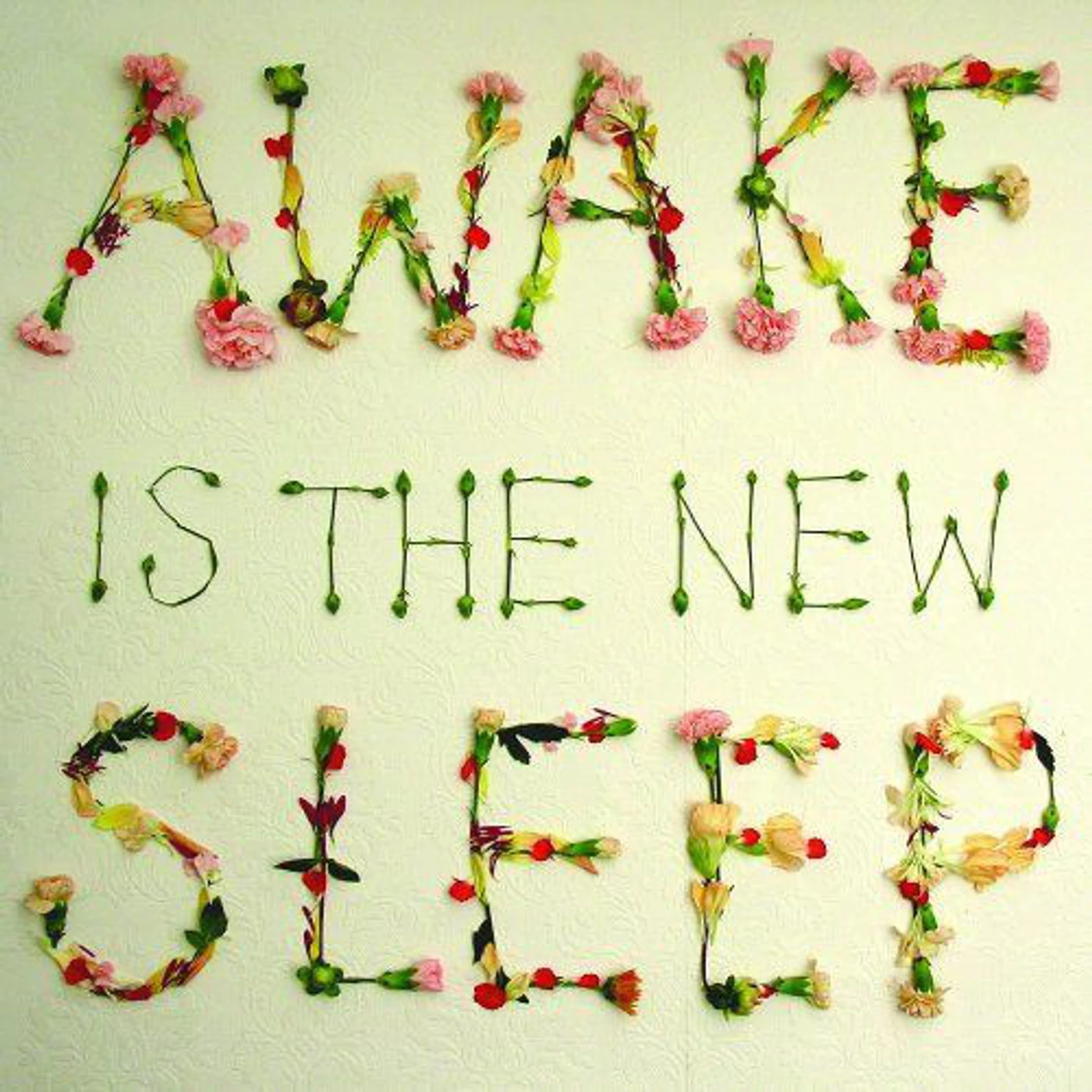 Ben Lee Awake Is the New Sleep Vinyl Record