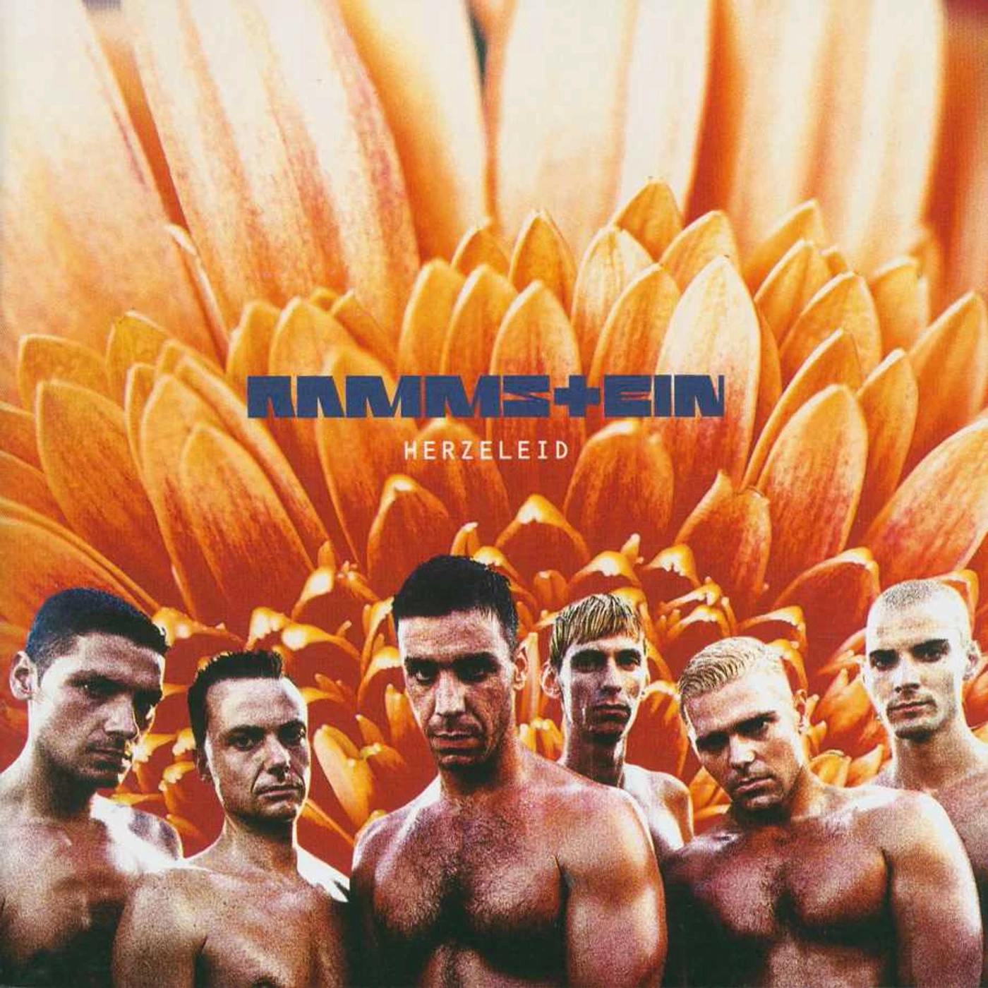 Rammstein HERZELEID (LIMITED 2LP) Vinyl Record