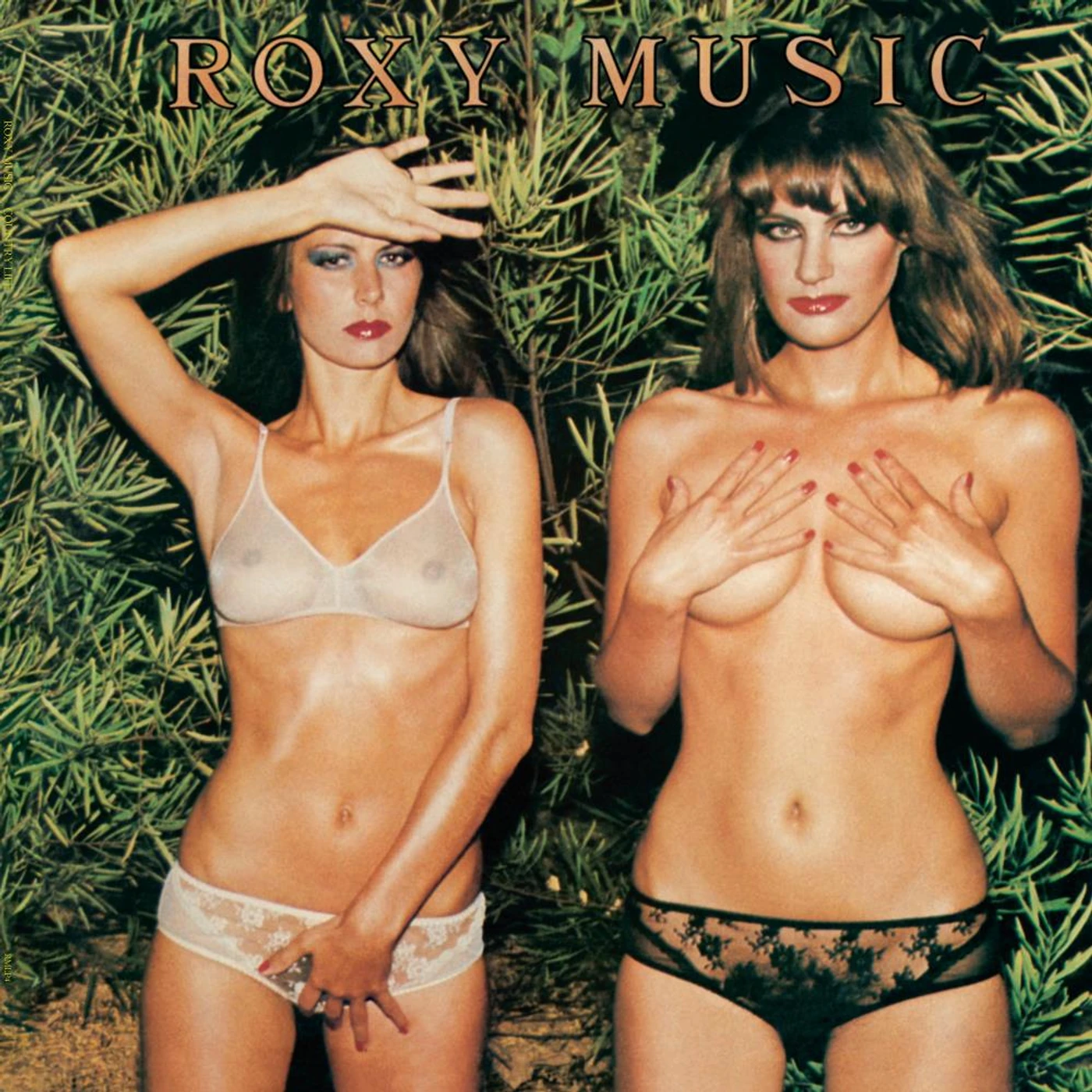 Roxy Music Country Life Vinyl Record