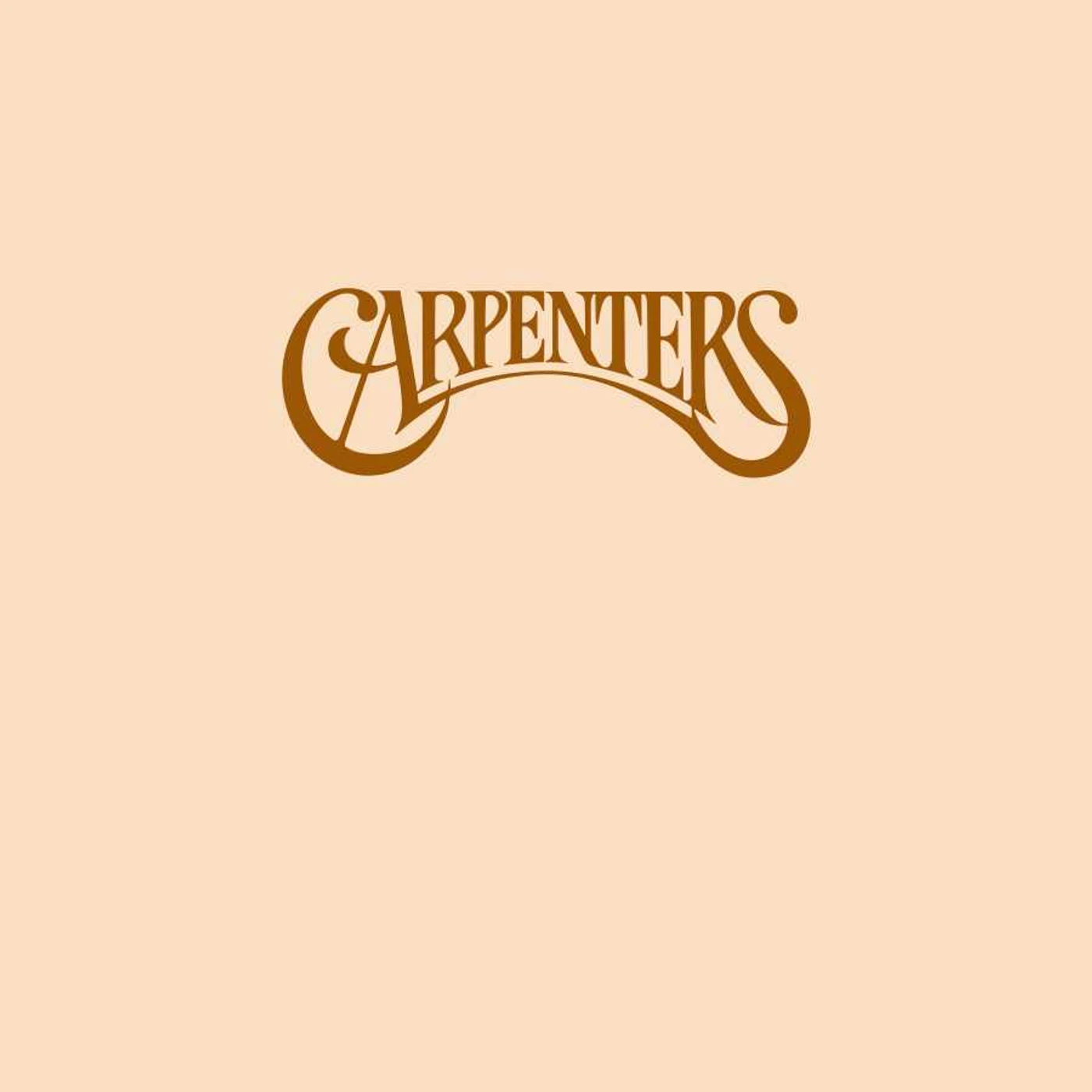 CARPENTERS Vinyl Record