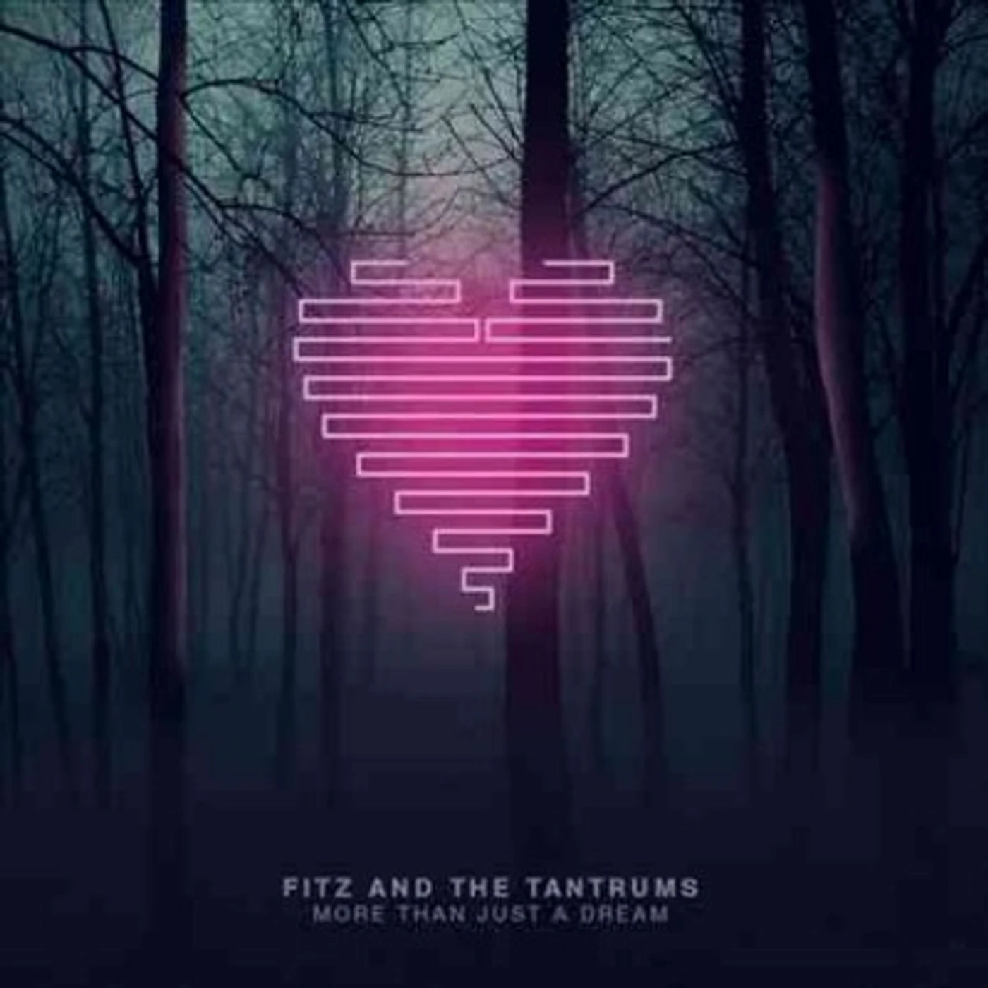 Fitz and The Tantrums More Than Just a Dream Vinyl Record