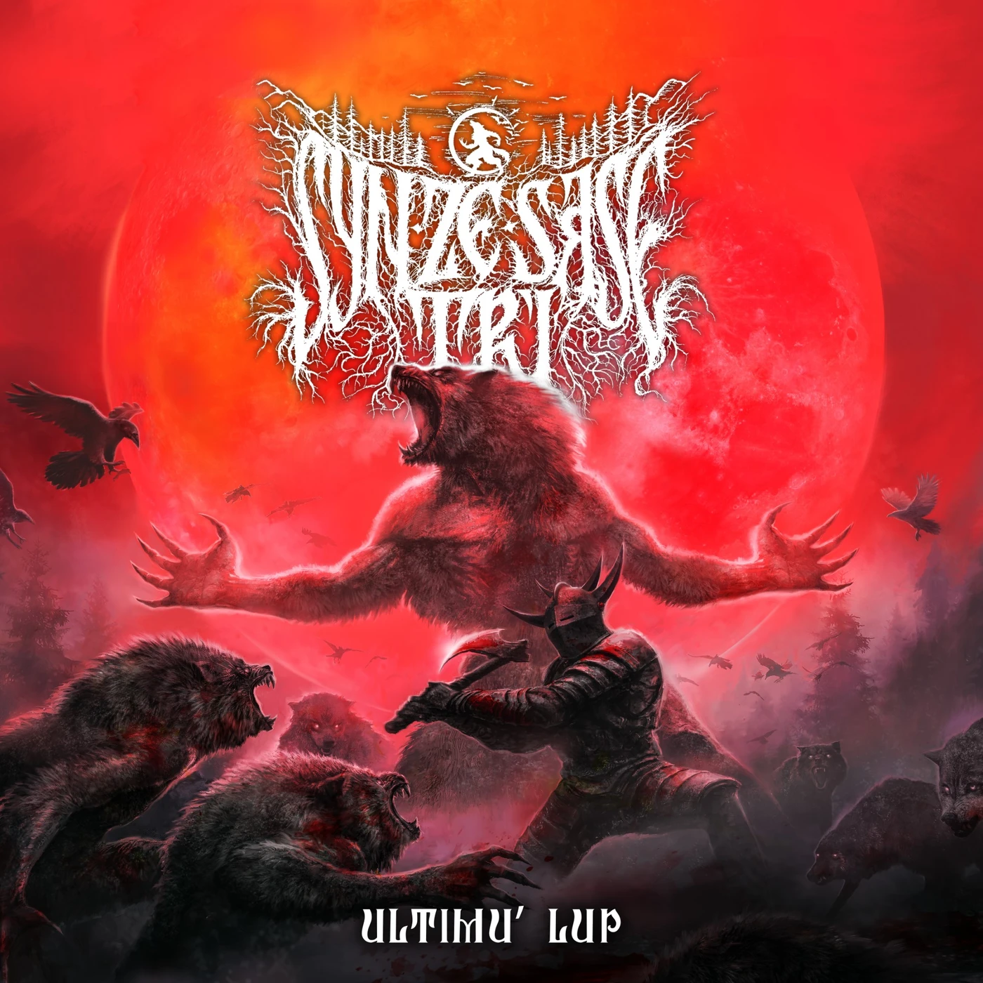 Syn Ze Sase Tri   Ultimu' Lup CD
