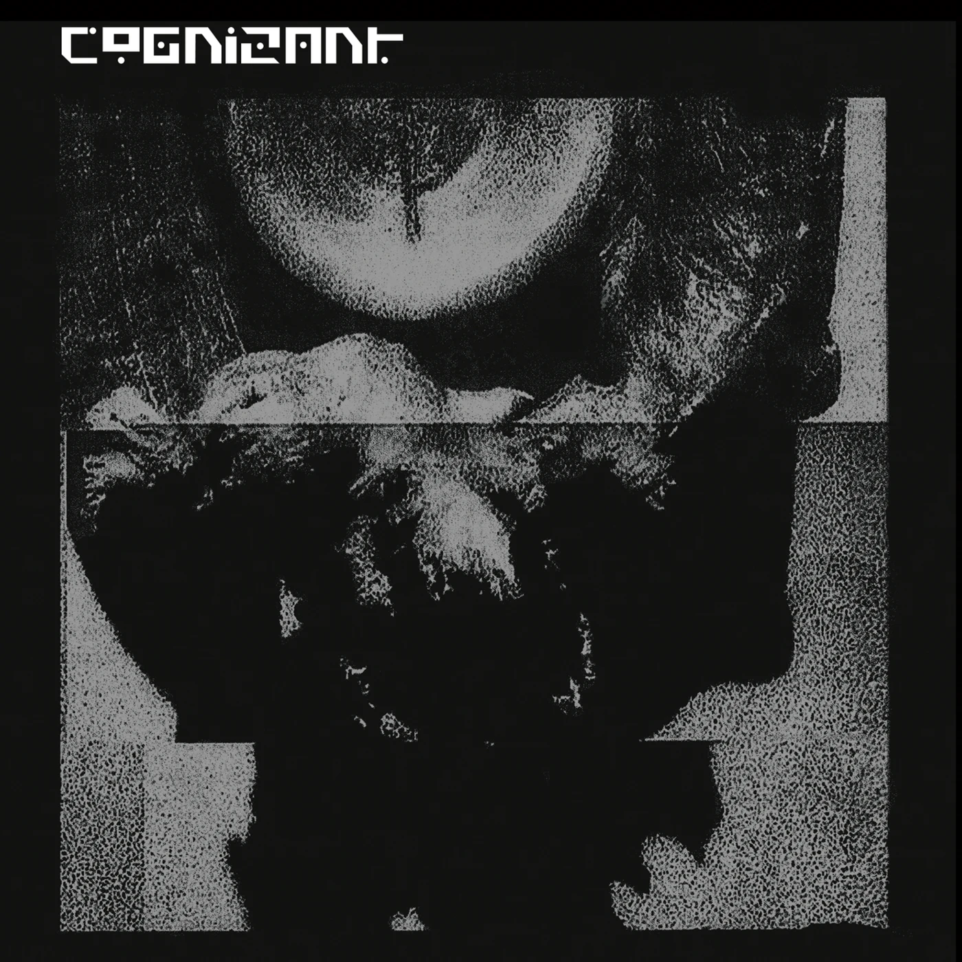 Cognizant CD