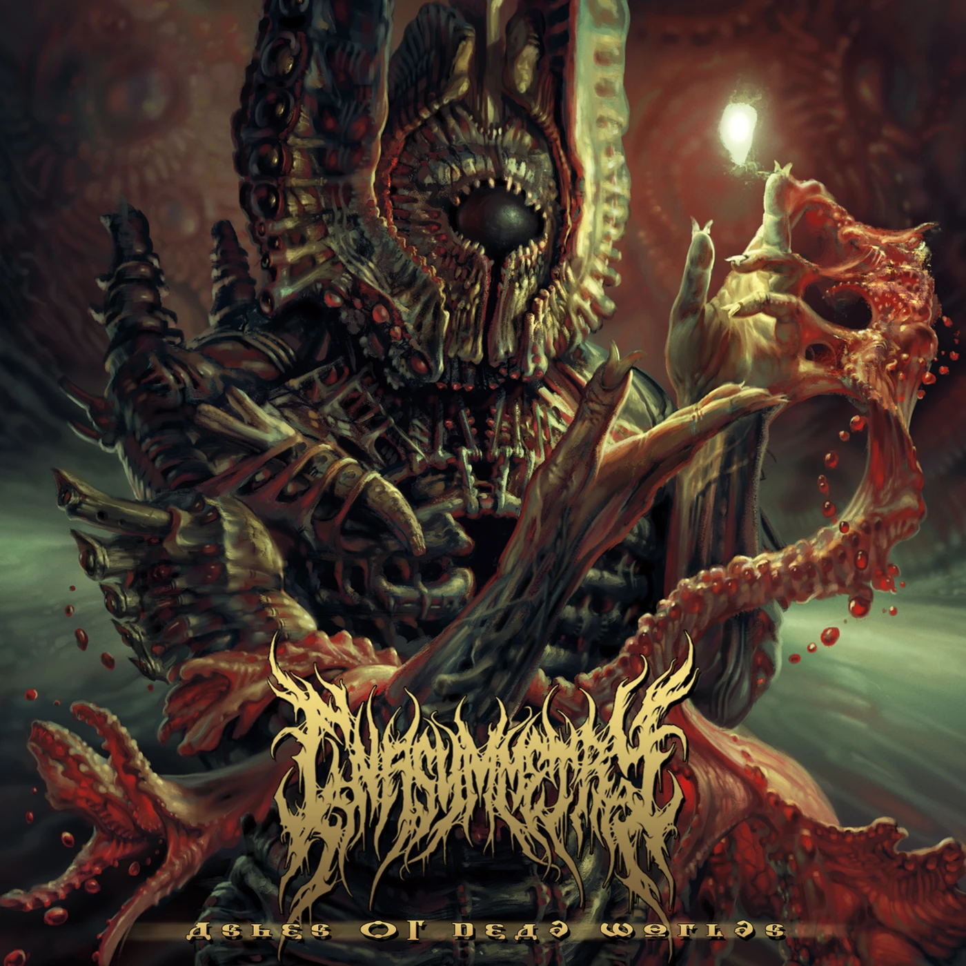 In Asymmetry ASHES OF DEAD WORLDS CD
