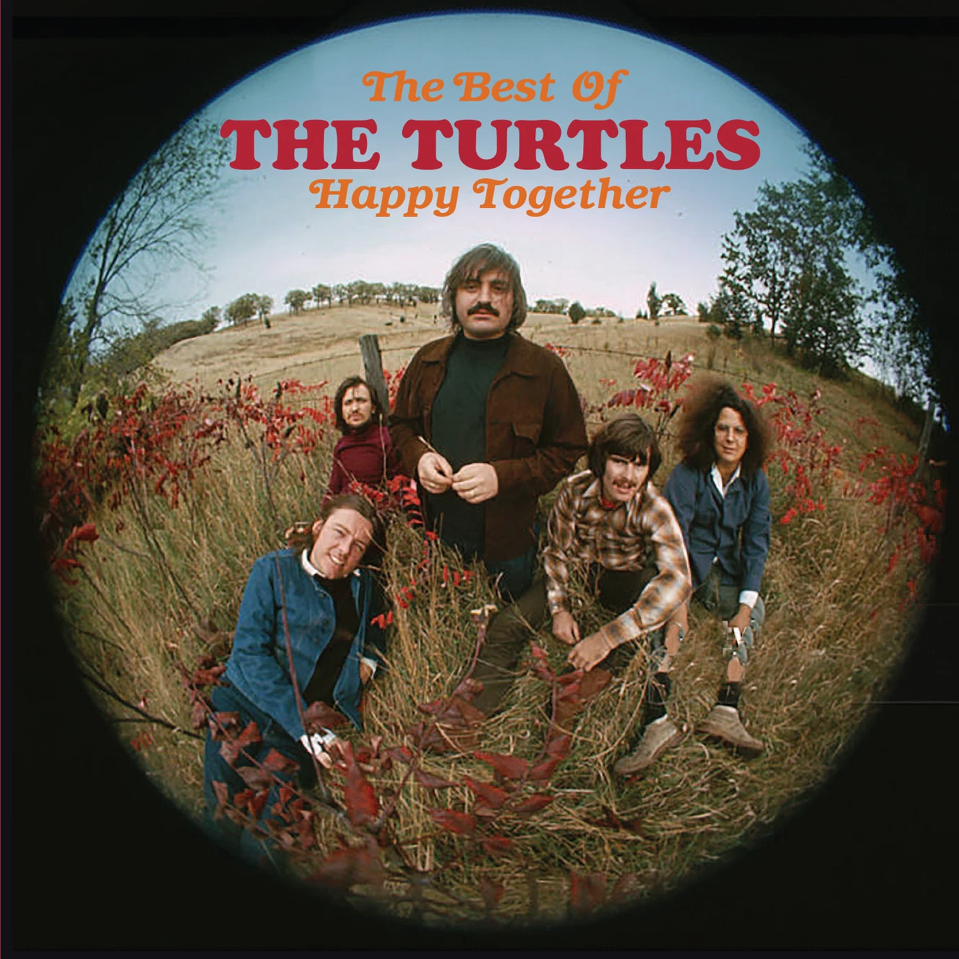 Happy Together: The Best of The Turtles CD