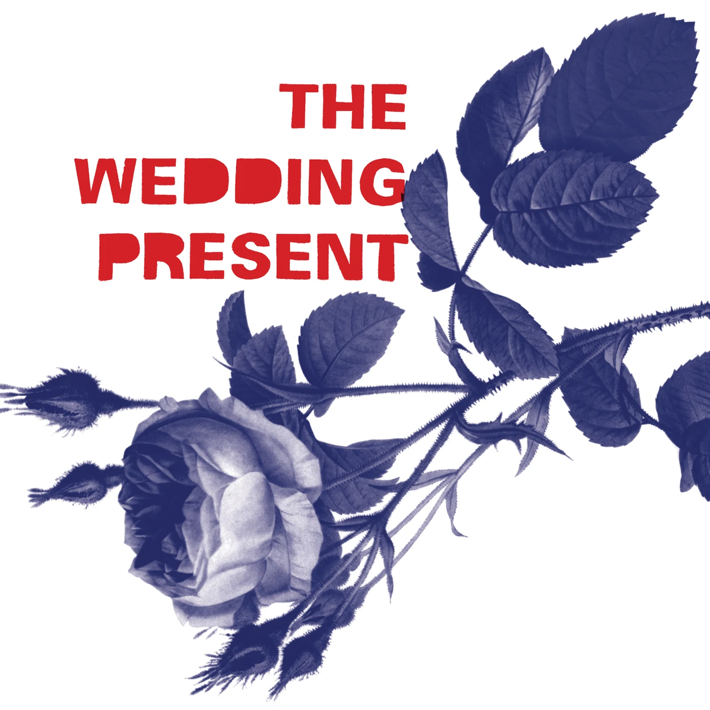 The Wedding Present Tommy 30 Vinyl Record