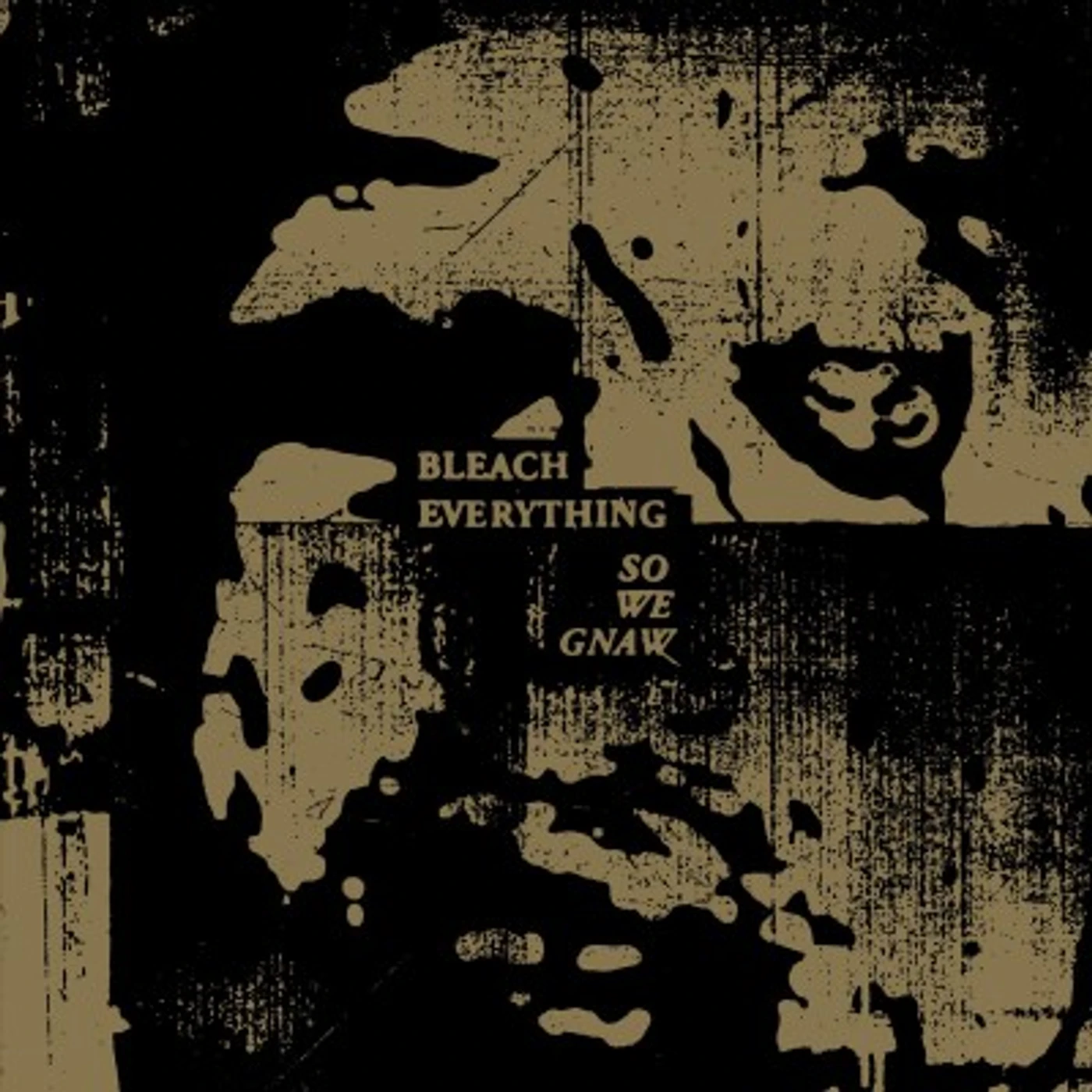 Bleach Everything So We Gnaw Vinyl Record