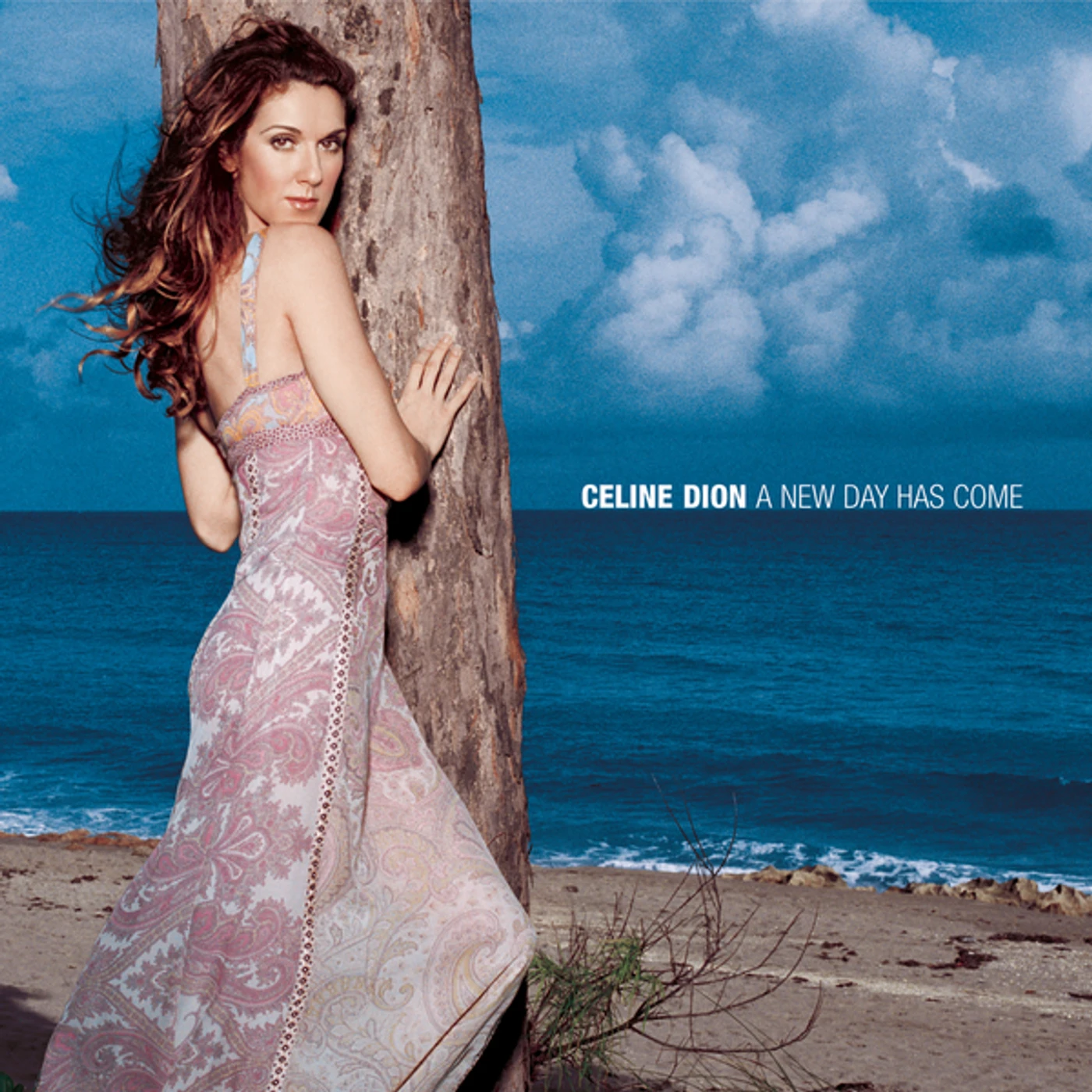 Céline Dion NEW DAY HAS COME CD