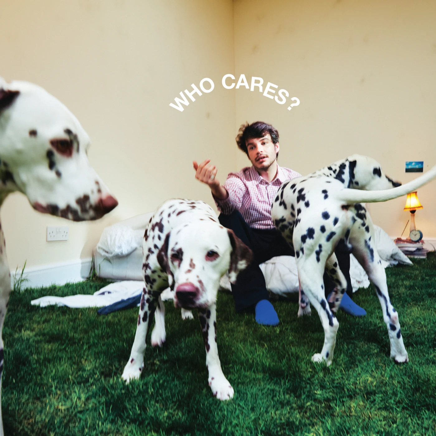 Rex Orange County WHO CARES? (X) CD