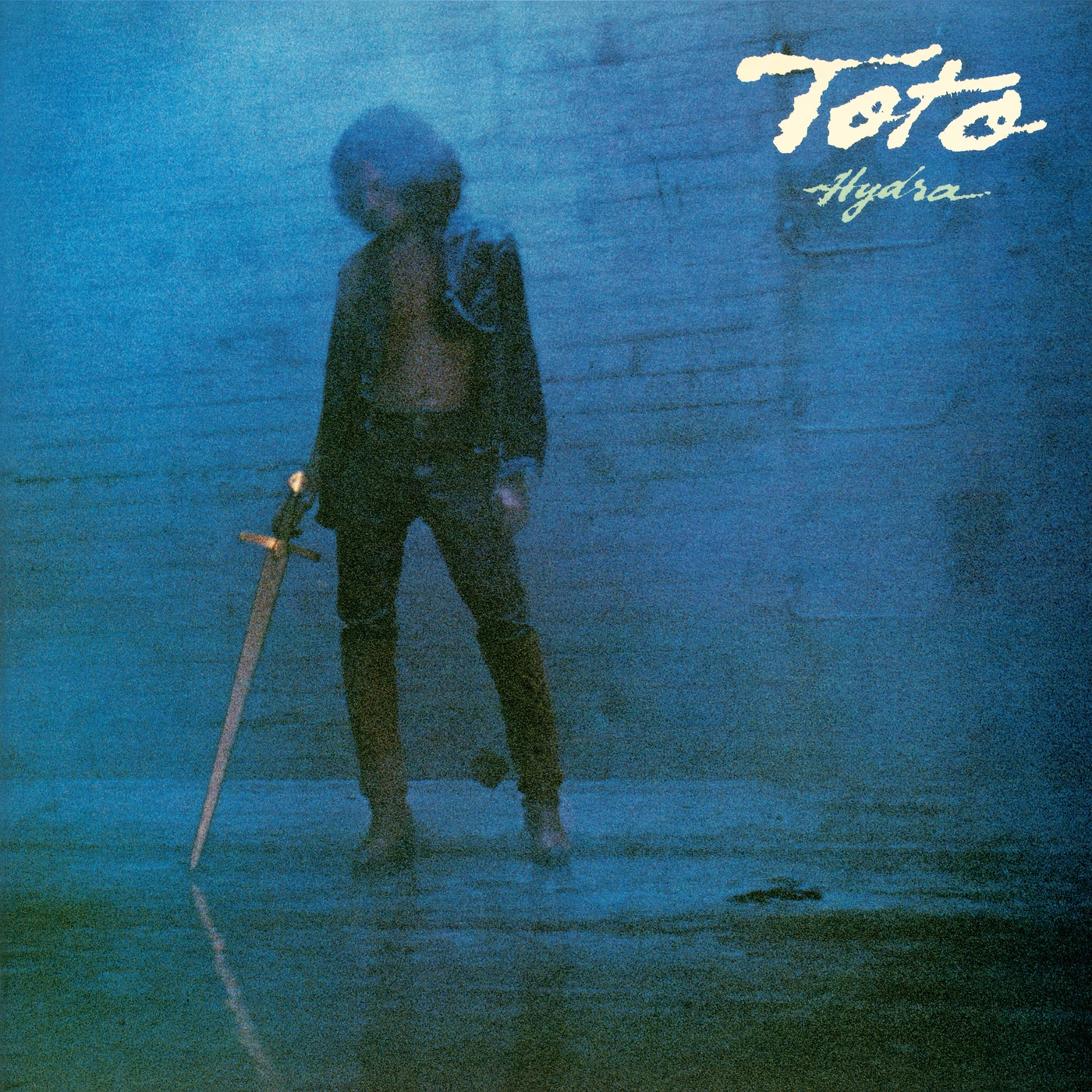 TOTO HYDRA (140G/DL INSERT) Vinyl Record