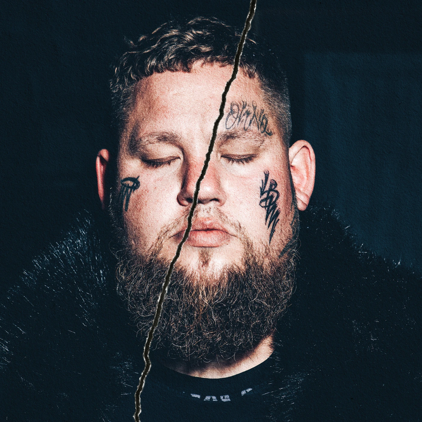 Rag'n'Bone Man LIFE BY MISADVENTURE (2LP/180G/DL INSERT) Vinyl Record