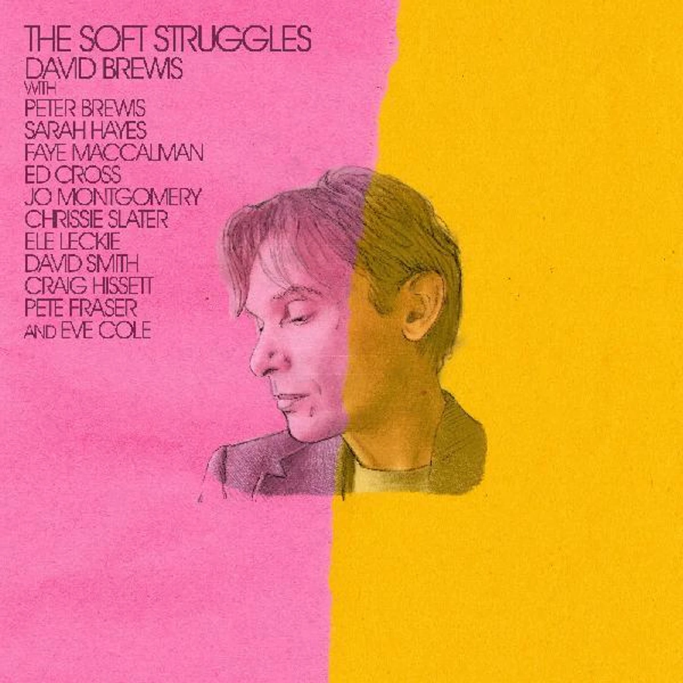 David Brewis The Soft Struggles CD