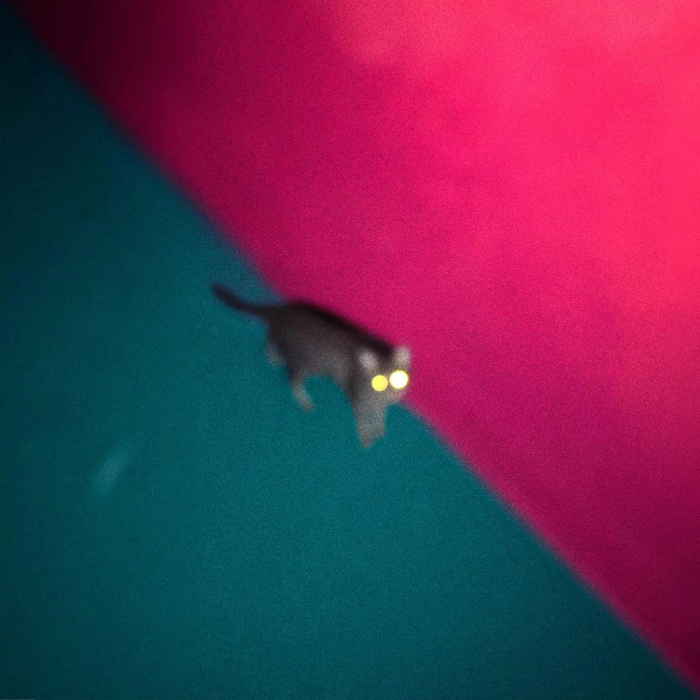 !!! WALLOP (DIGIPAK) CD