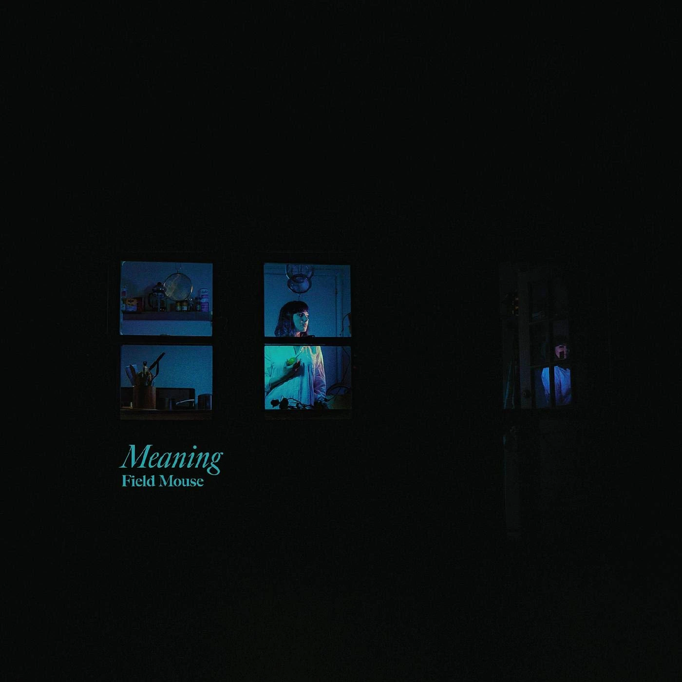 Field Mouse MEANING CD