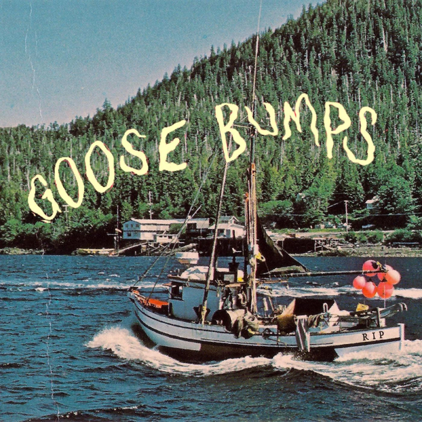Boyscott GOOSE BUMPS CD