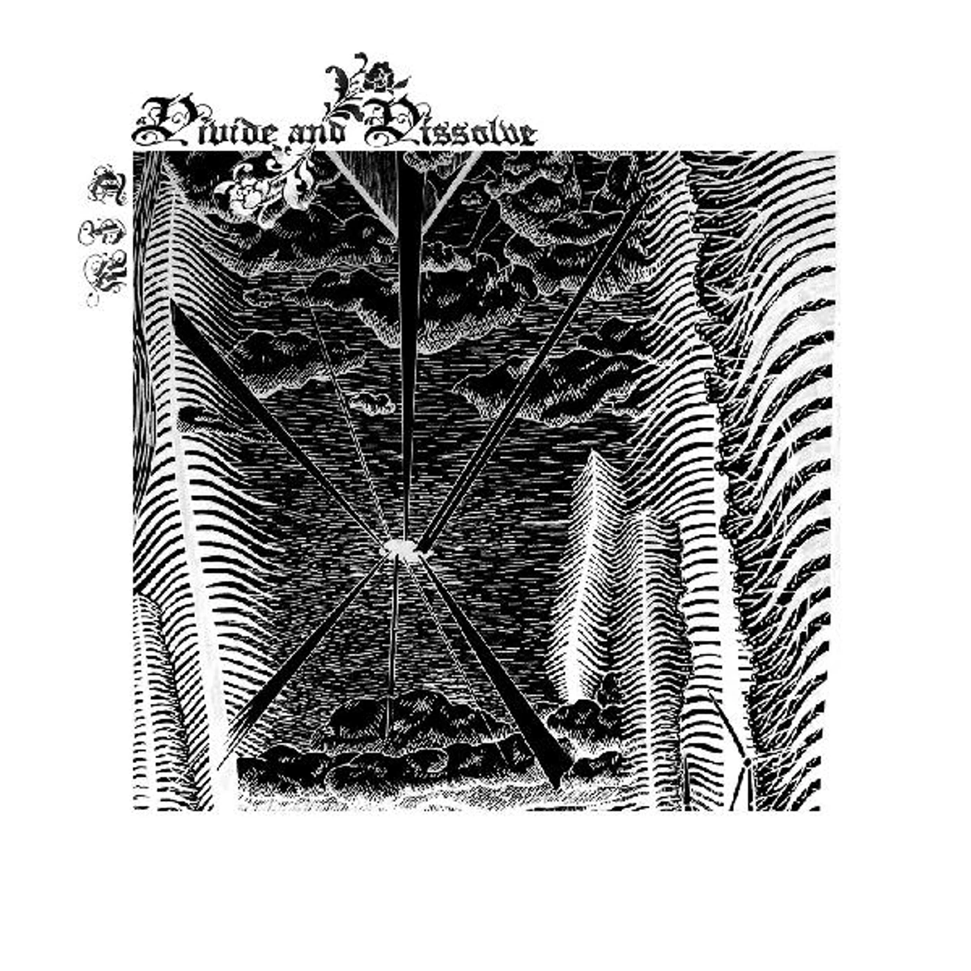 Divide And Dissolve TFW (DL CARD) Vinyl Record