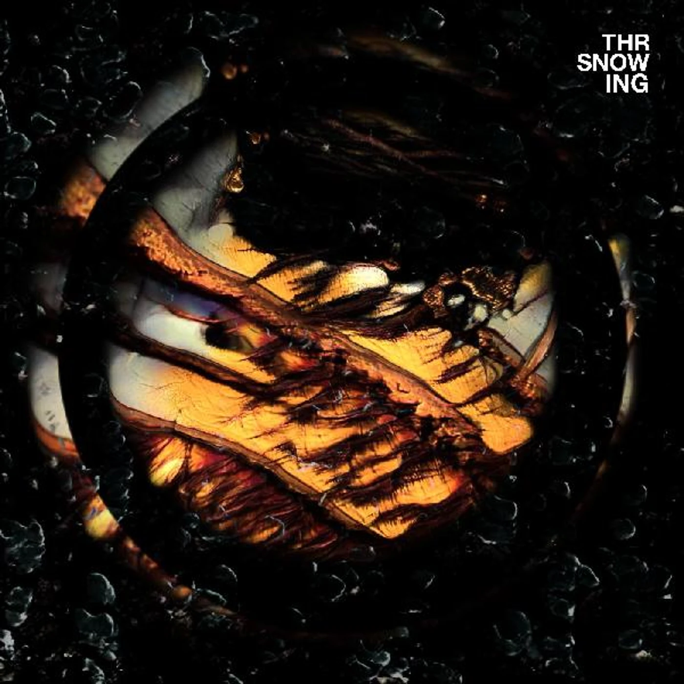 Throwing Snow Dragons (Marbled Orange Vinyl) Vinyl Record