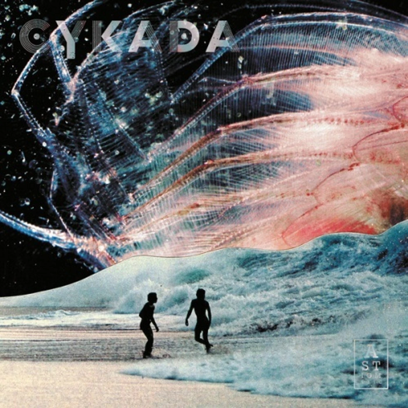 Cykada Vinyl Record