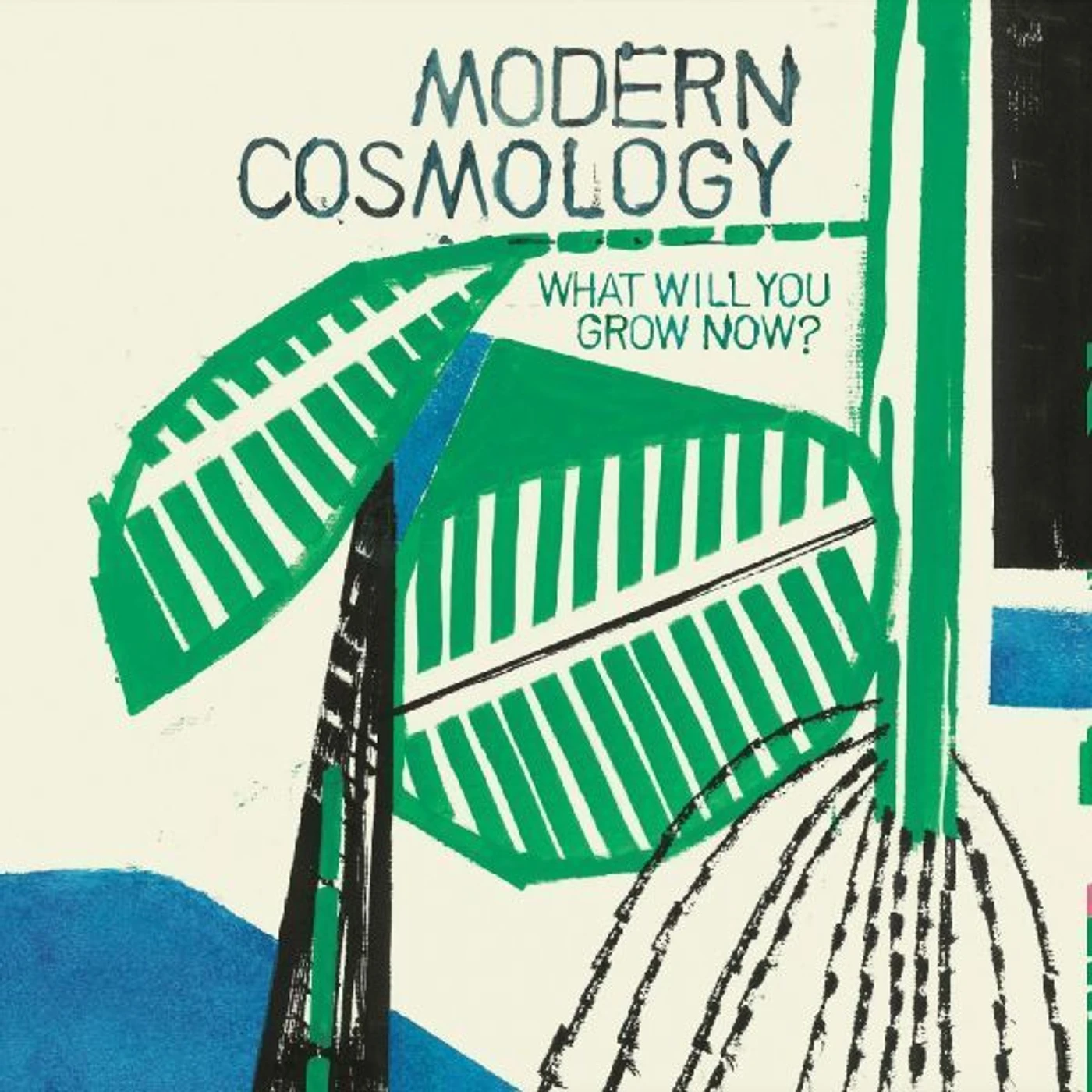 Modern Cosmology What Will You Grow Now? Vinyl Record