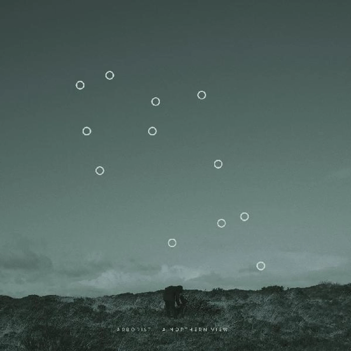 Arborist A Northern View Vinyl Record