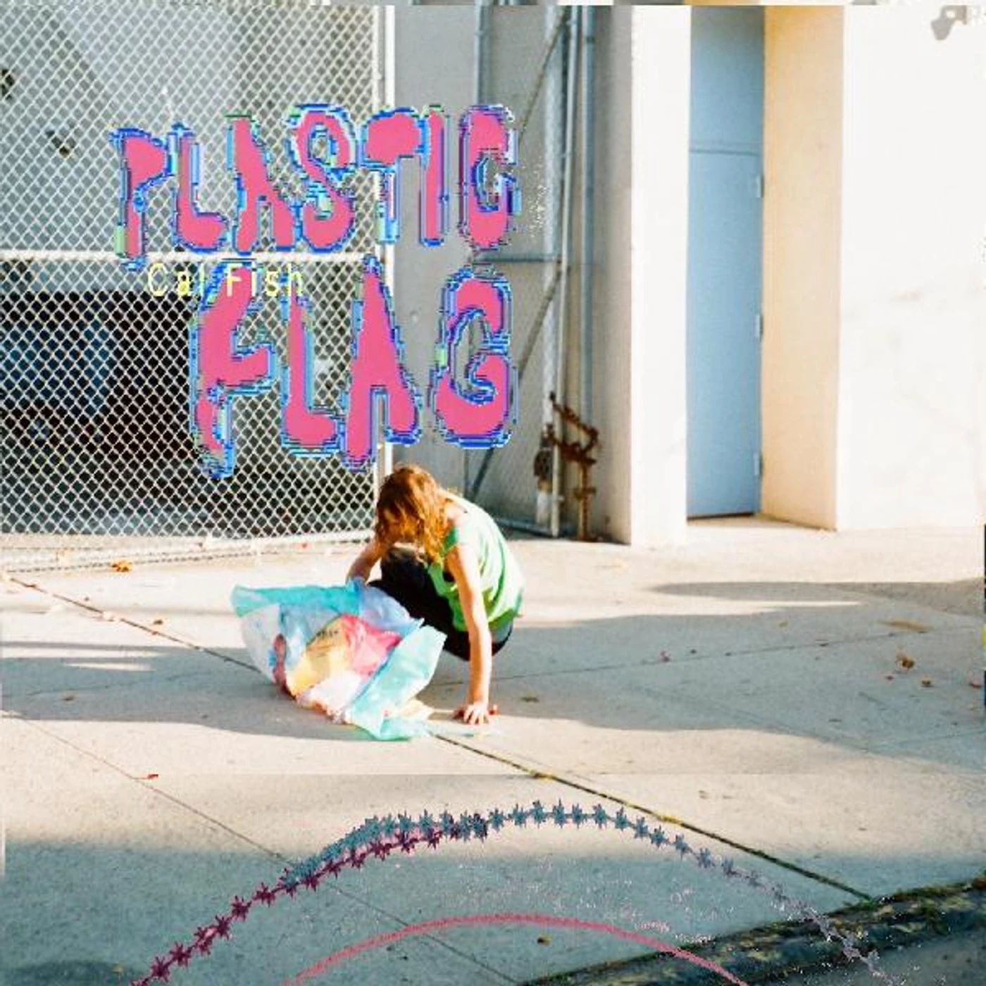 Cal Fish Plastic Flag Vinyl Record