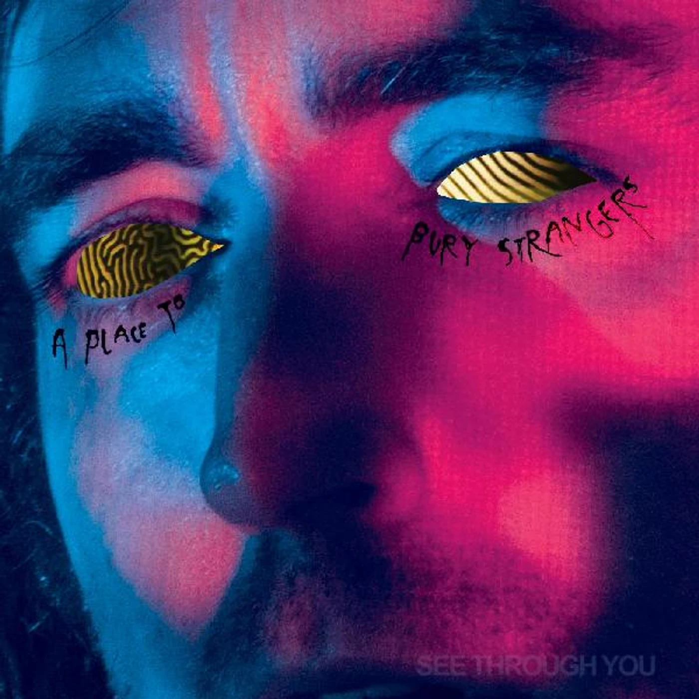 A Place To Bury Strangers See Through You Vinyl Record