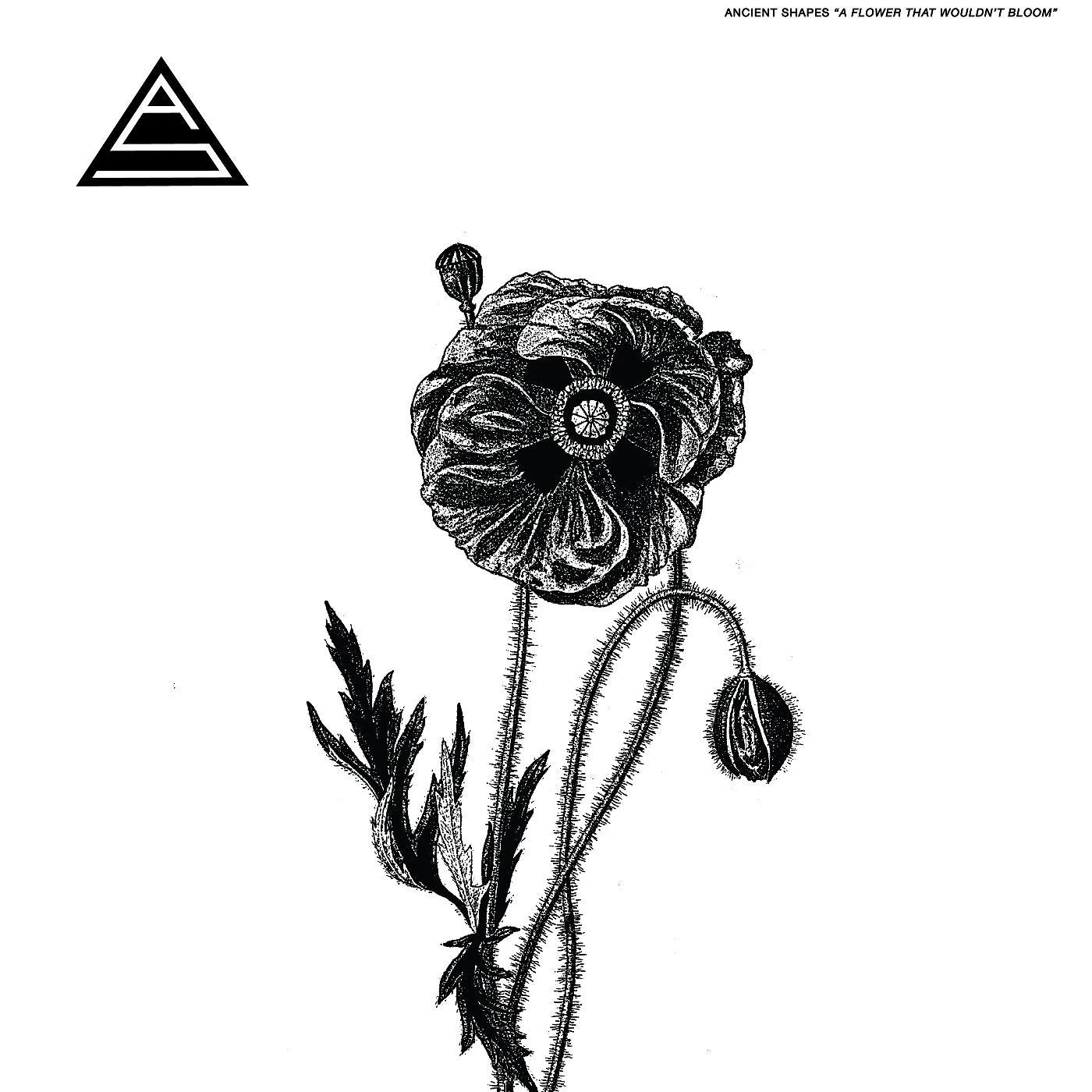 Ancient Shapes FLOWER THAT WOULDN'T BLOOM Vinyl Record