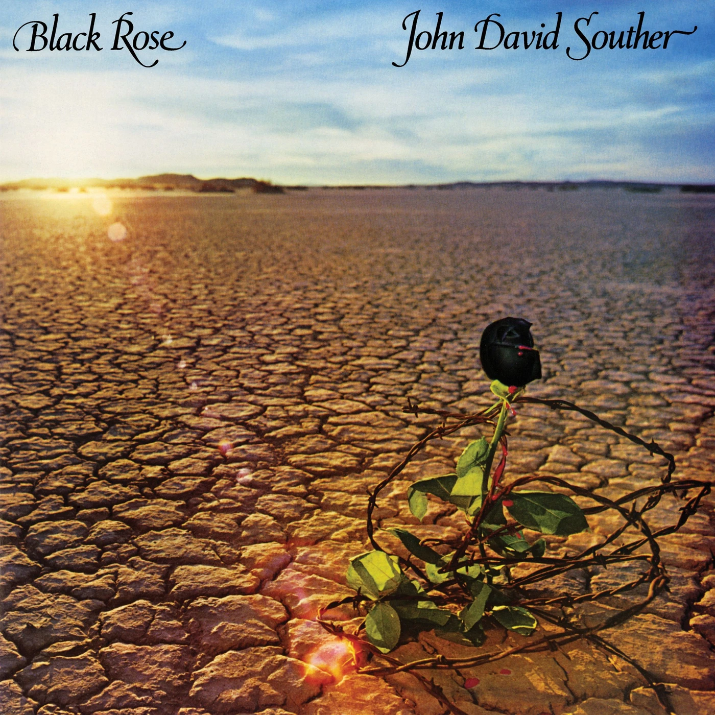 JD Souther Black Rose Vinyl Record