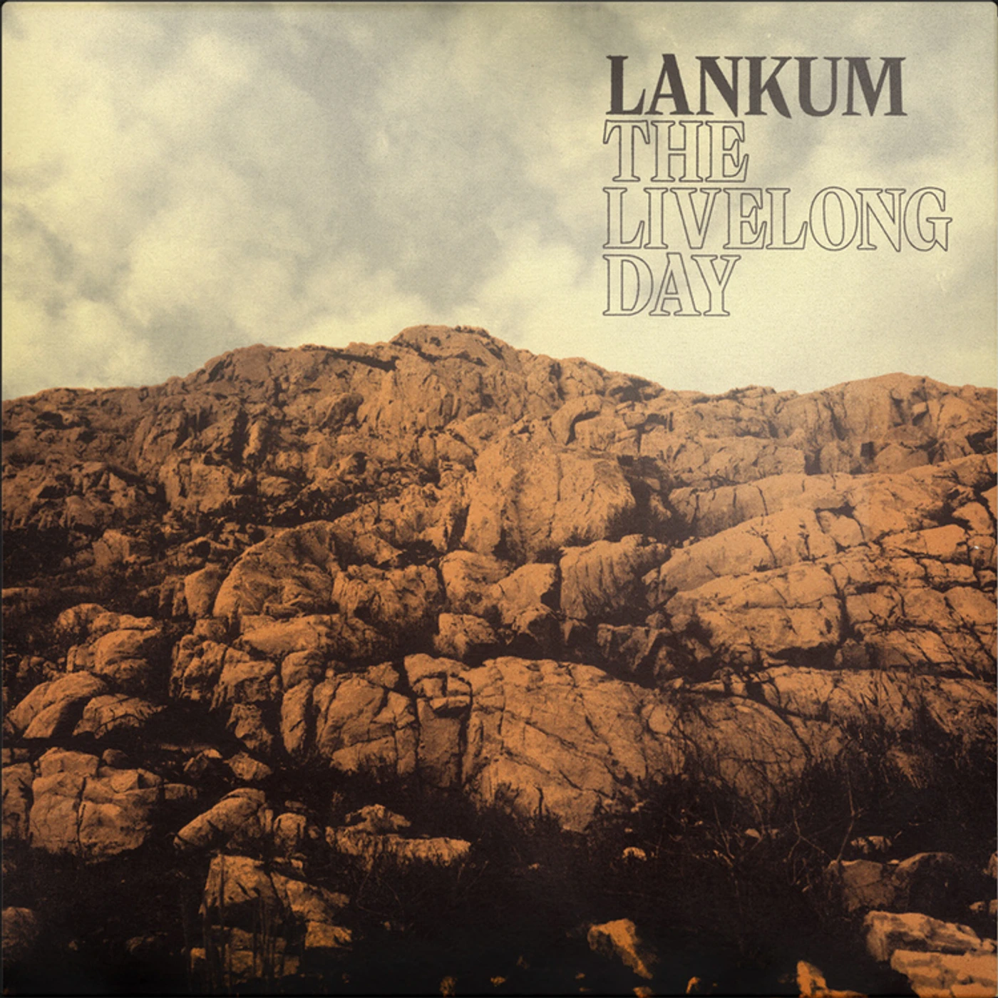 Lankum Livelong Day Vinyl Record