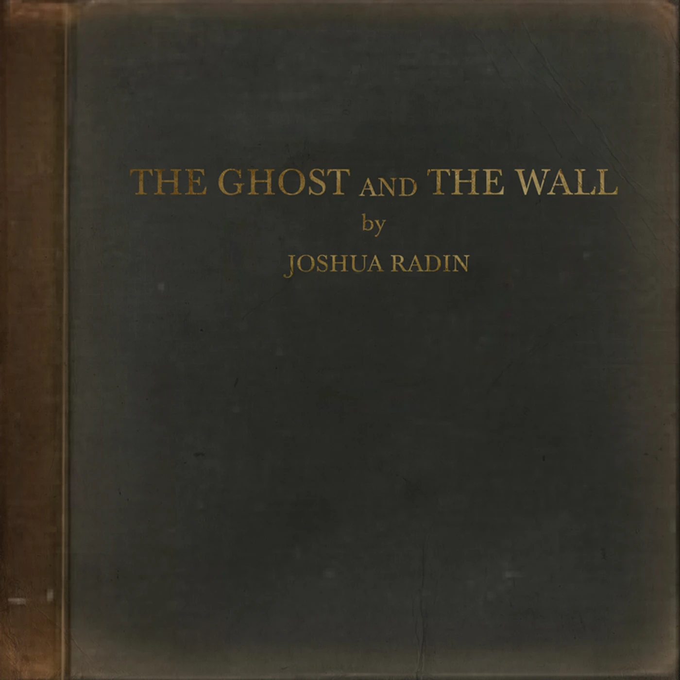 Joshua Radin The Ghost And The Wall Vinyl Record