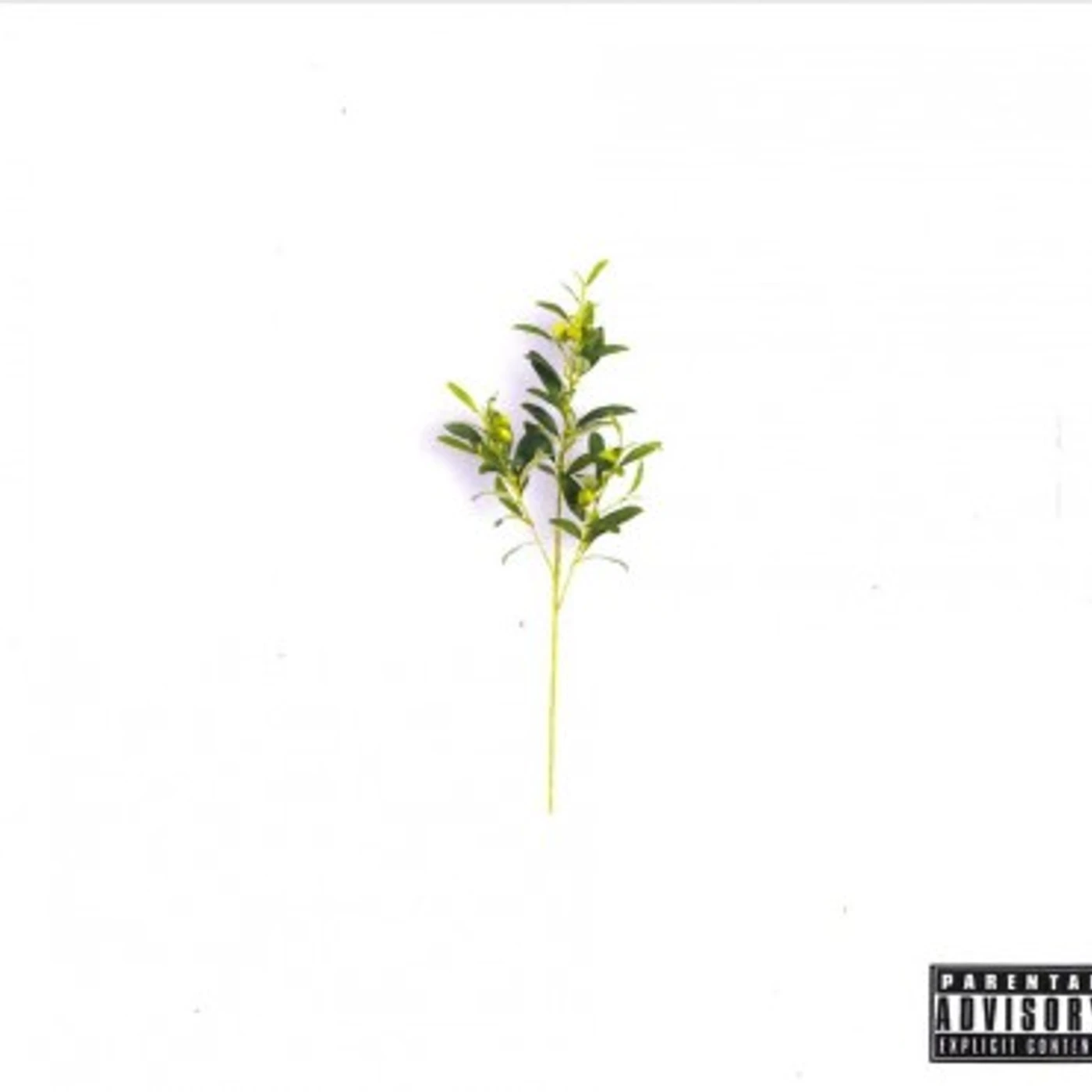 Locksmith OLIVE BRANCH CD