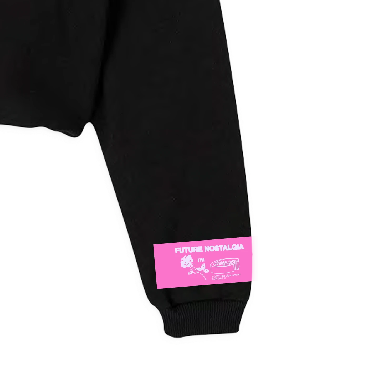 Dua Lipa Barbwire Heart Crop Sweatshirt