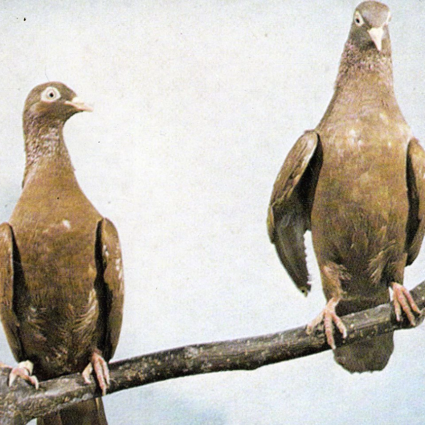 Mint Condition COLLECTION: 1991-1998 CD