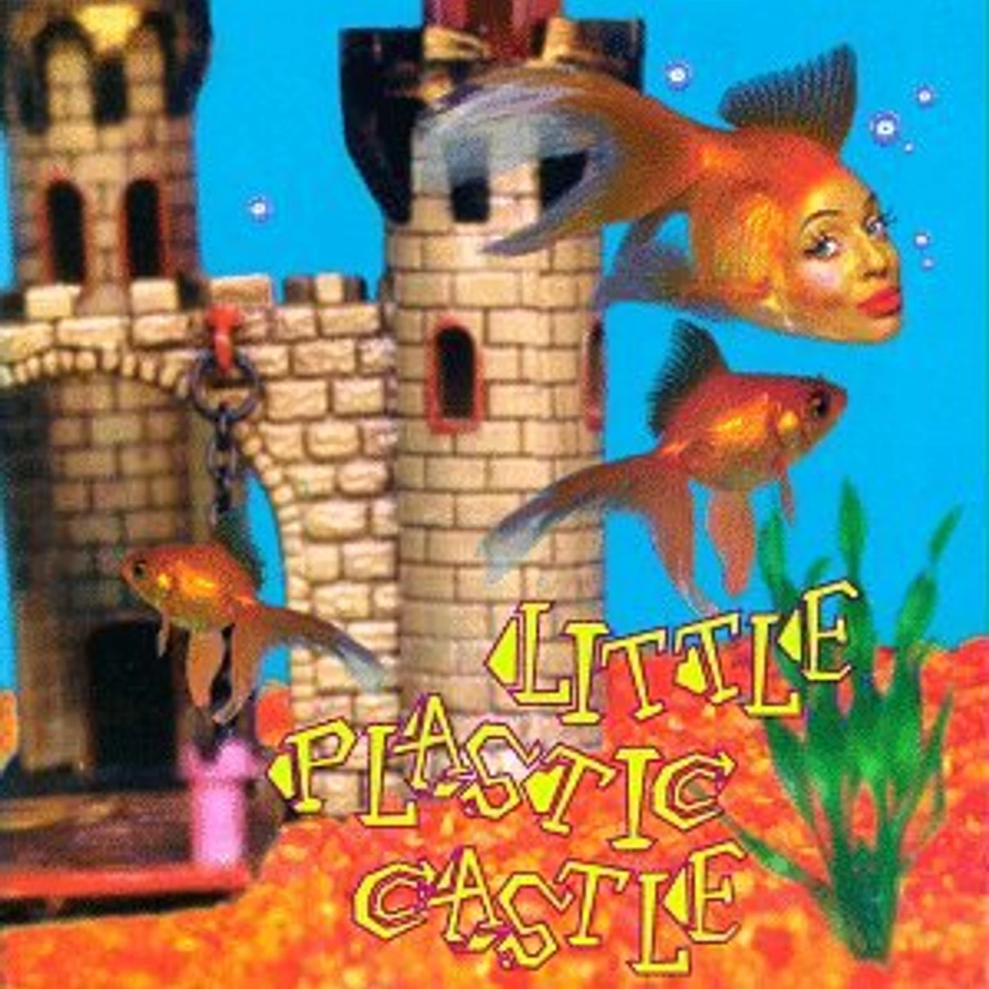 Ani DiFranco LITTLE PLASTIC CASTLE CD