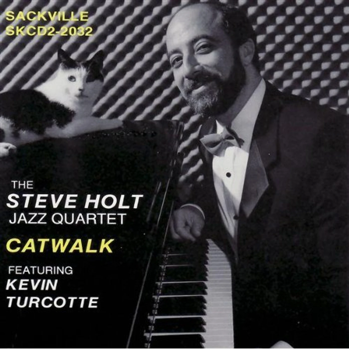 Steve Holt CATWALK CD
