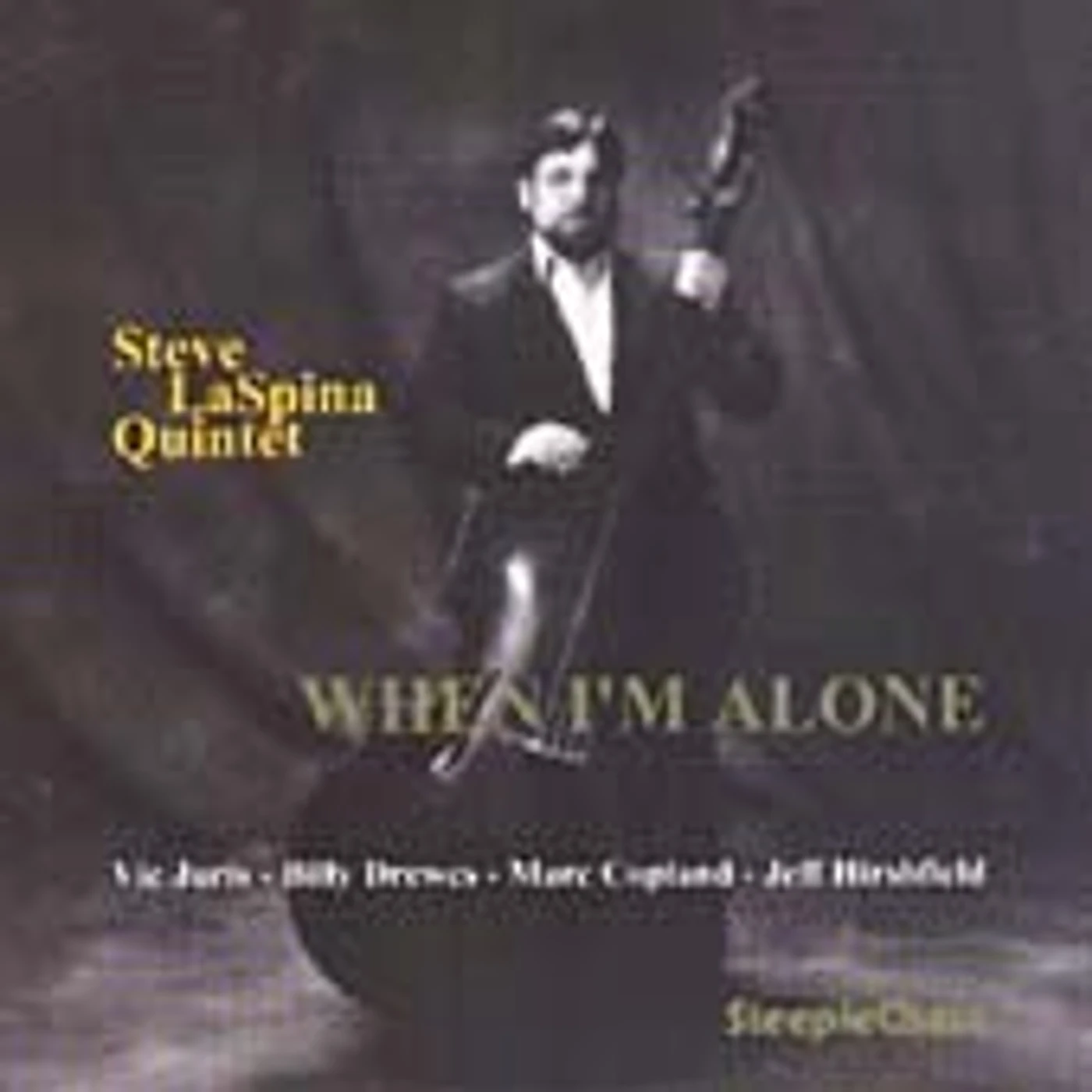 Steve LaSpina WHEN I'M ALONE CD