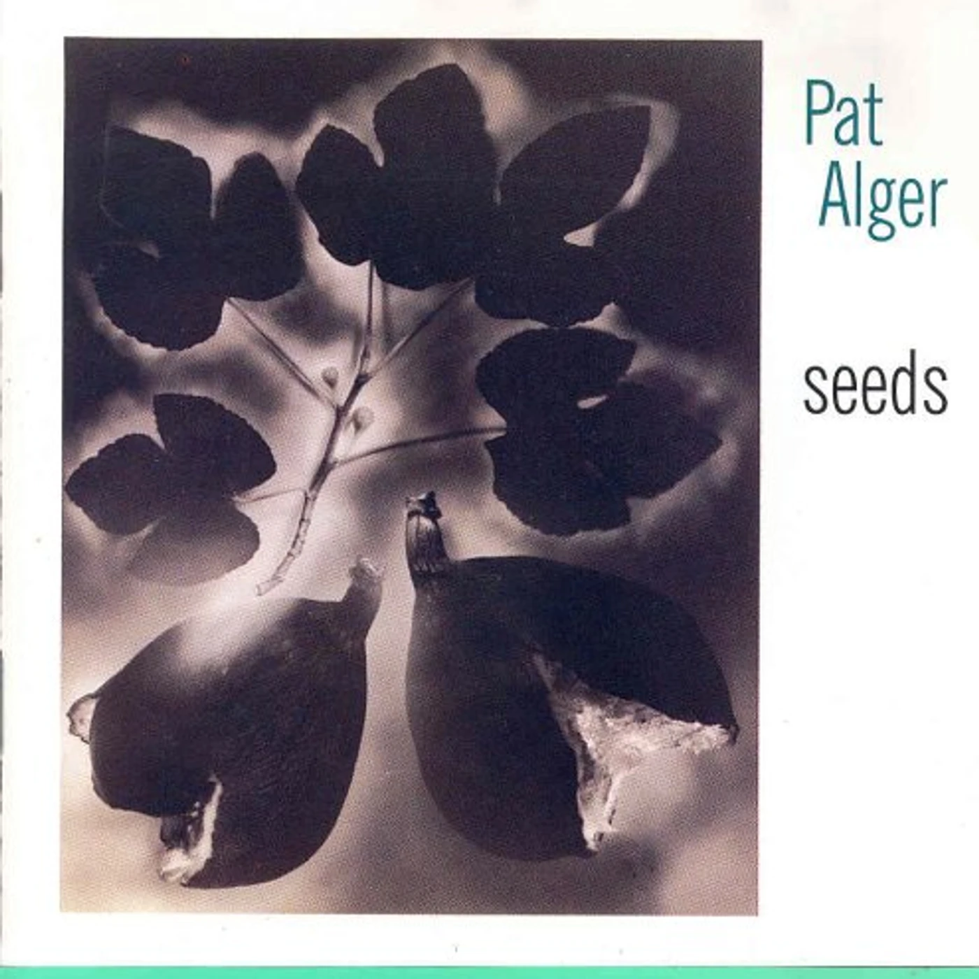 Pat Alger SEEDS CD