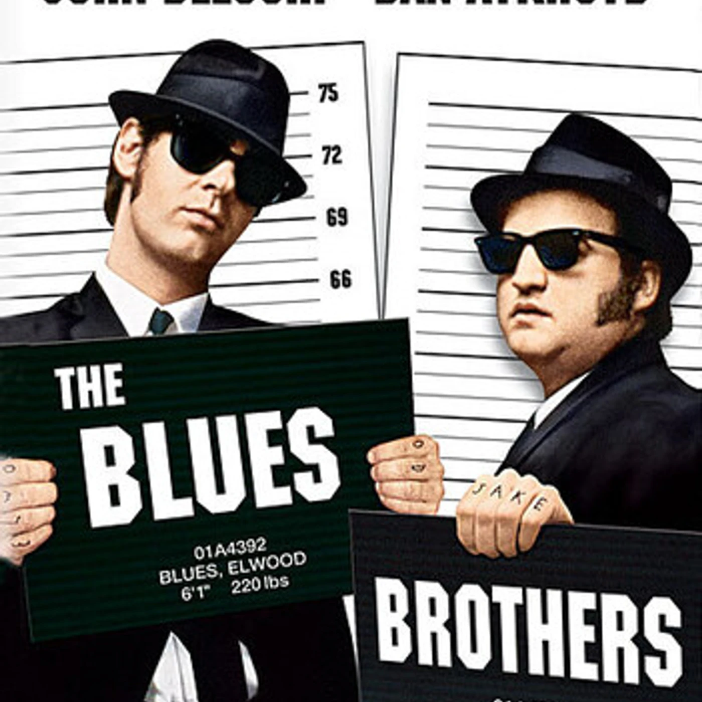 Blues & Brothers DVD
