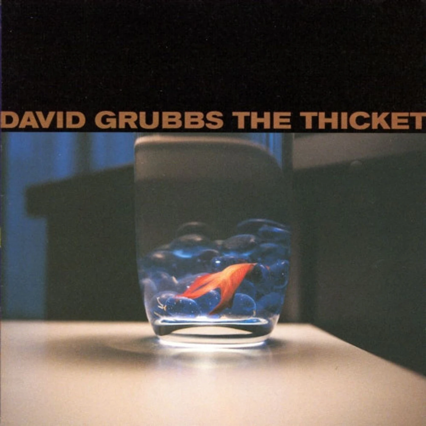 David Grubbs THICKET Vinyl Record