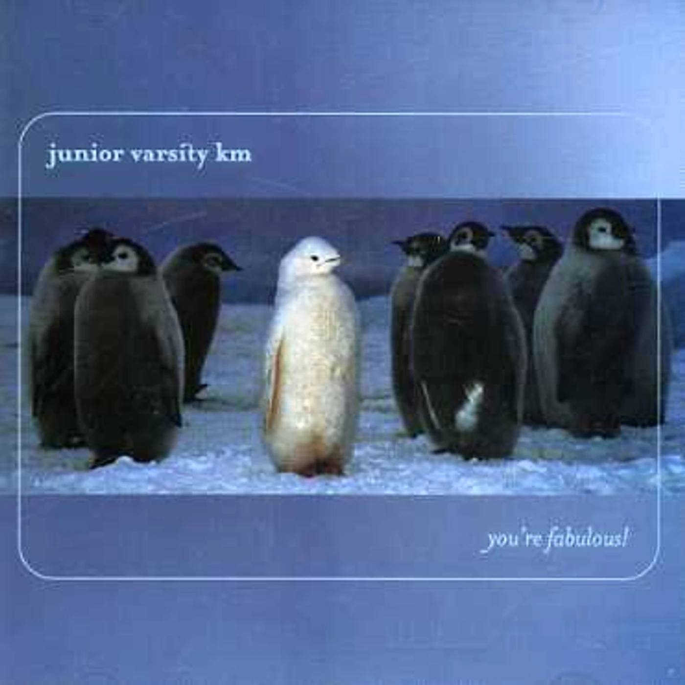 Junior Varsity Km YOU'RE FABULOUS CD