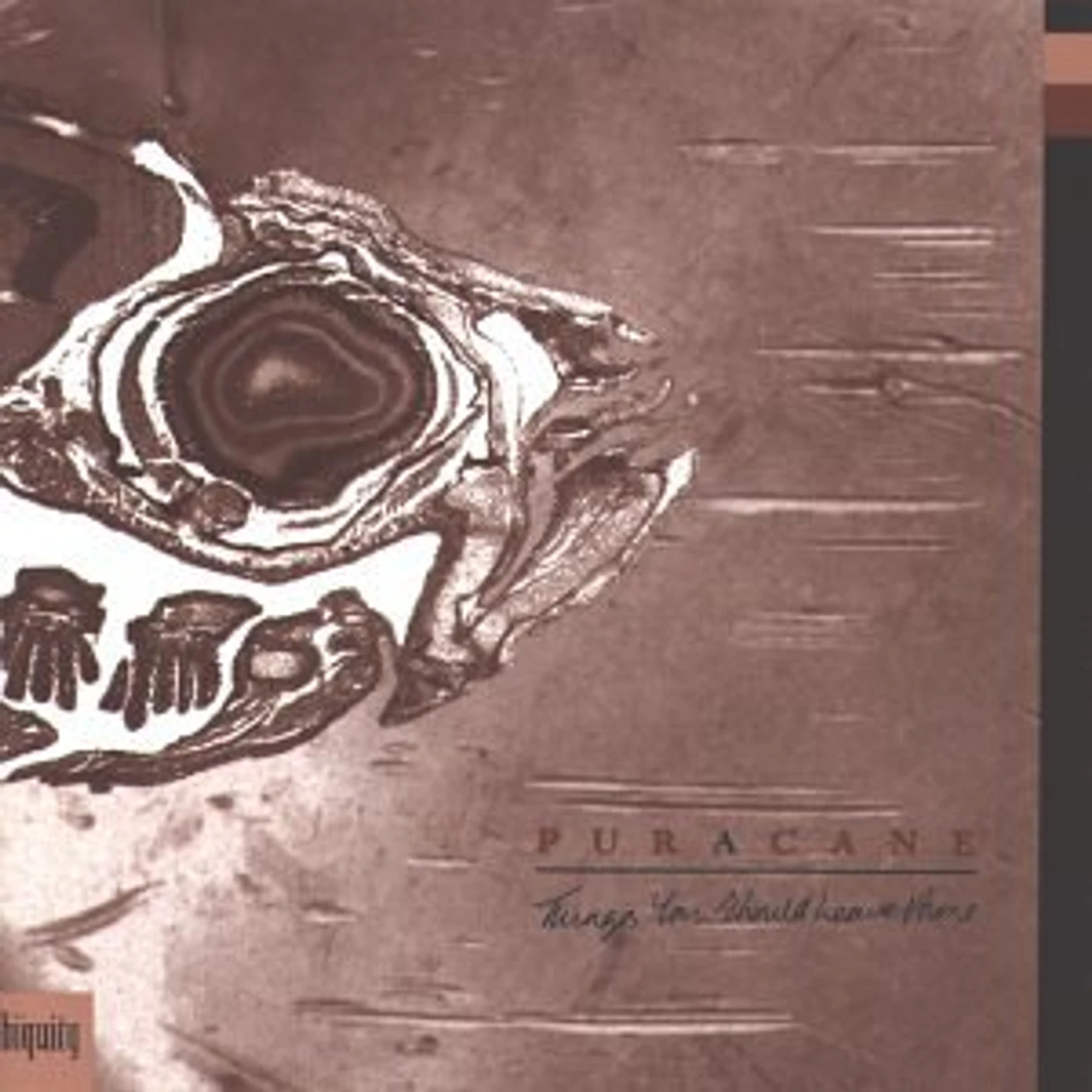 Puracane THINGS YOU SHOULD LEAVE ALONE CD