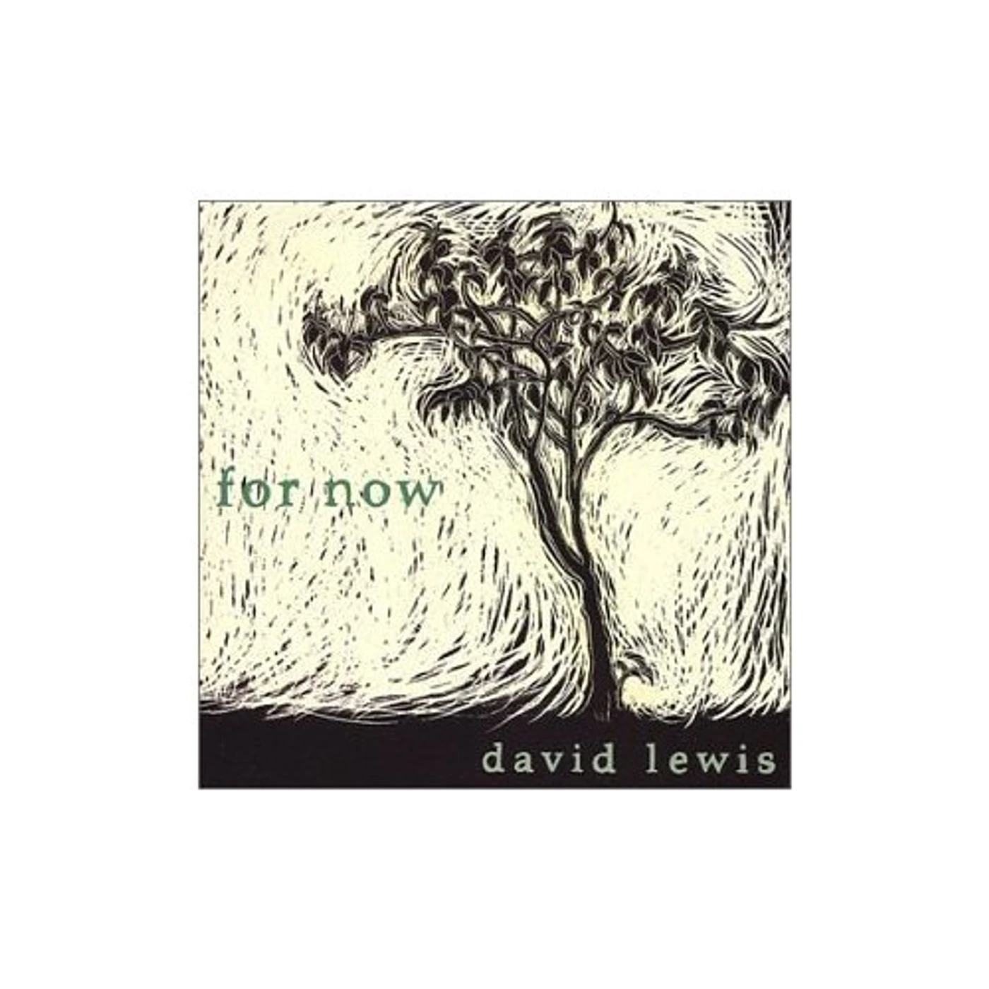 David Lewis FOR NOW CD