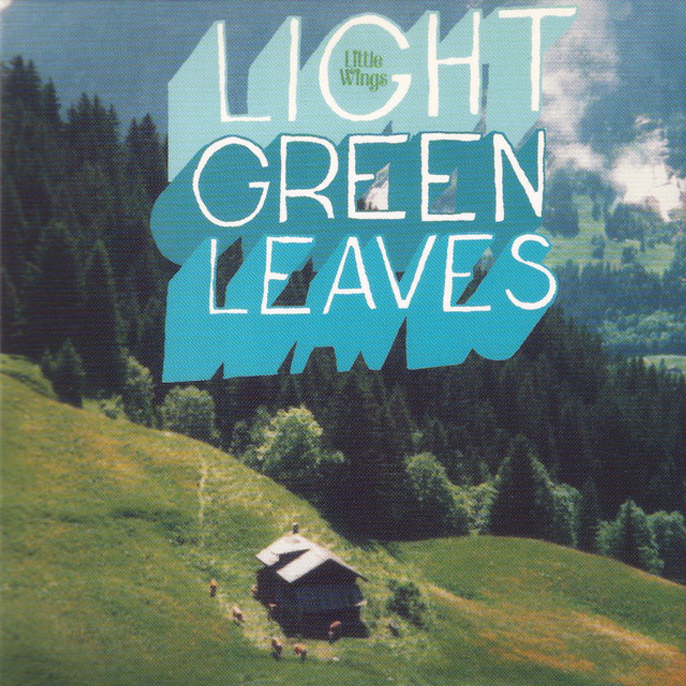 Little Wings Light Green Leaves Vinyl Record