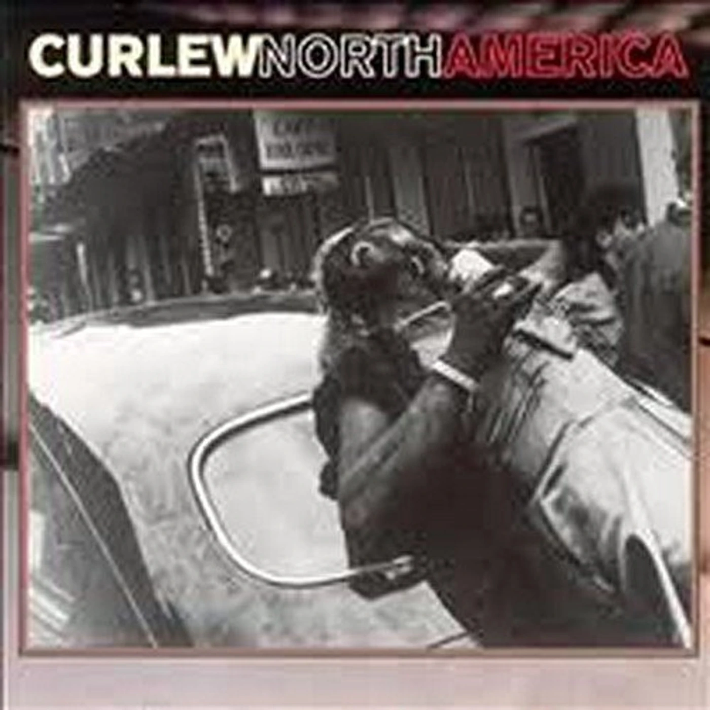 Curlew NORTH AMERICA CD