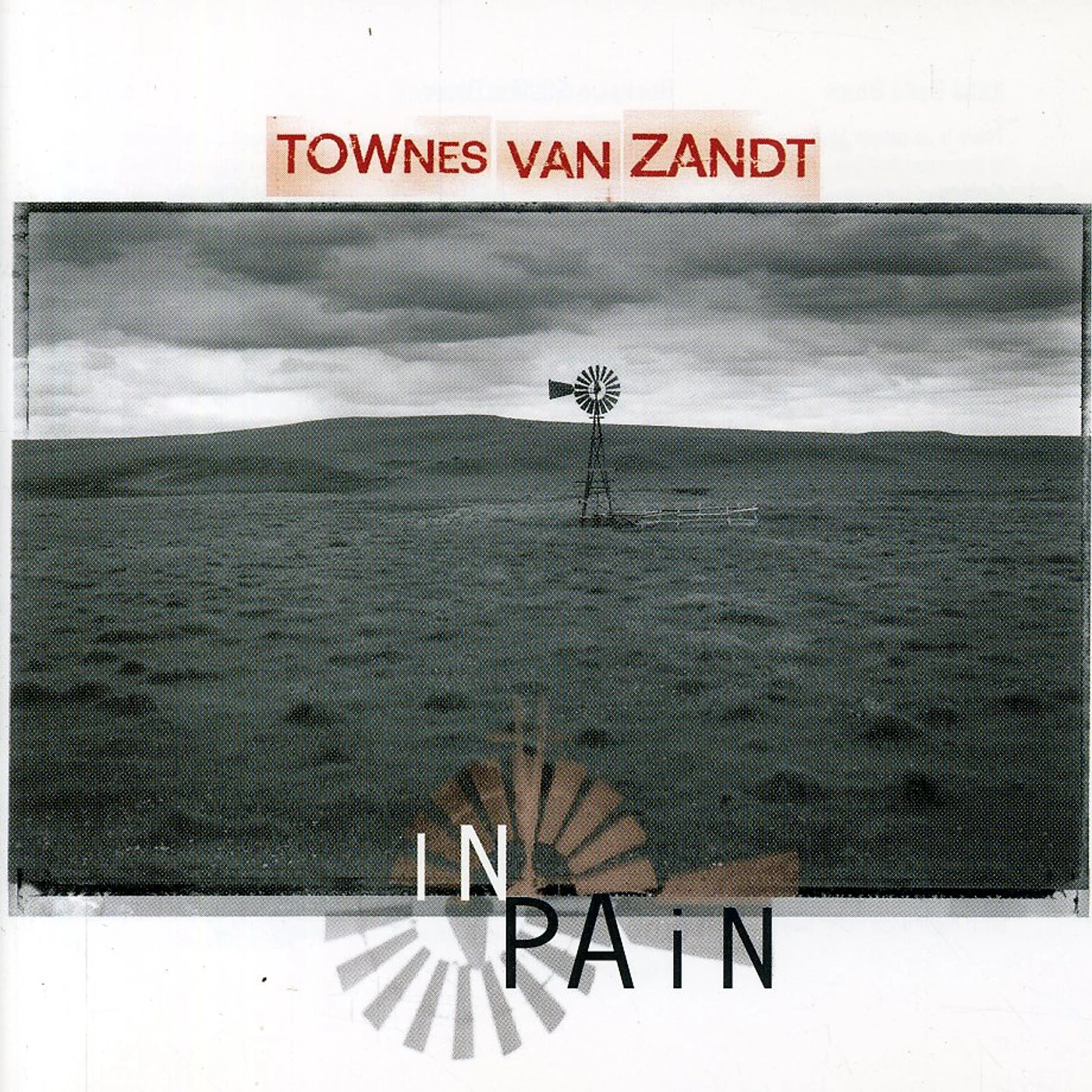 Townes Van Zandt IN PAIN CD