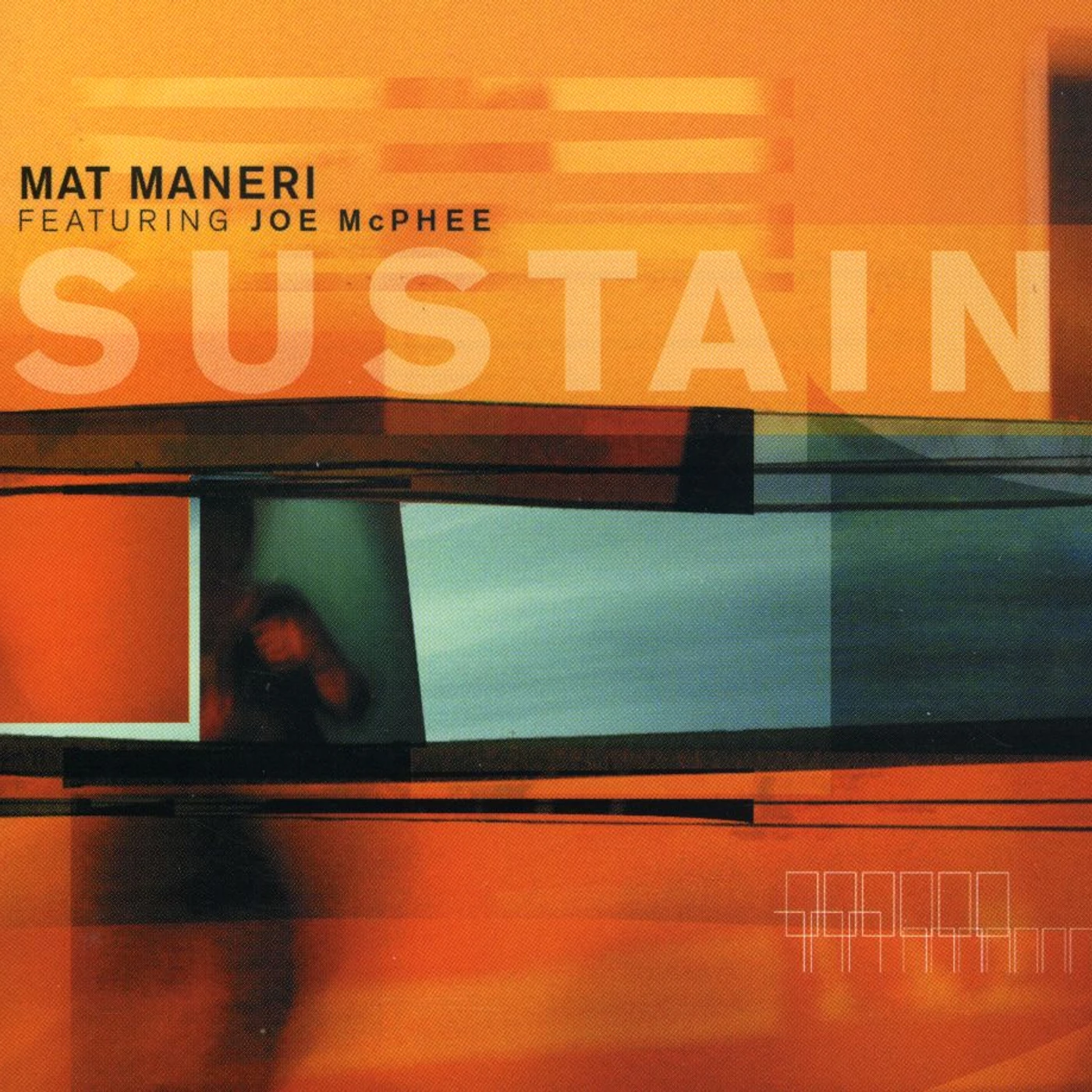 Mat Maneri SUSTAIN CD