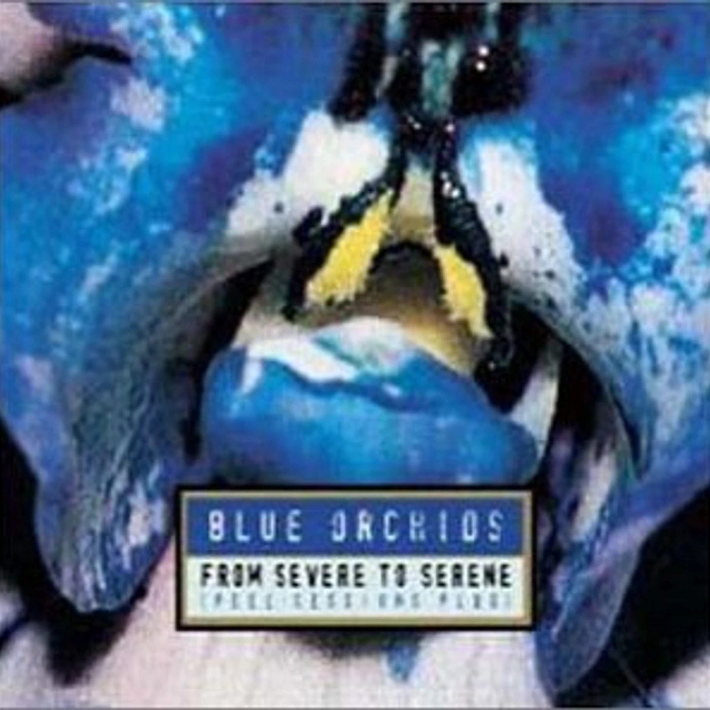 Blue Orchids FROM SEVERE TO SERENE CD