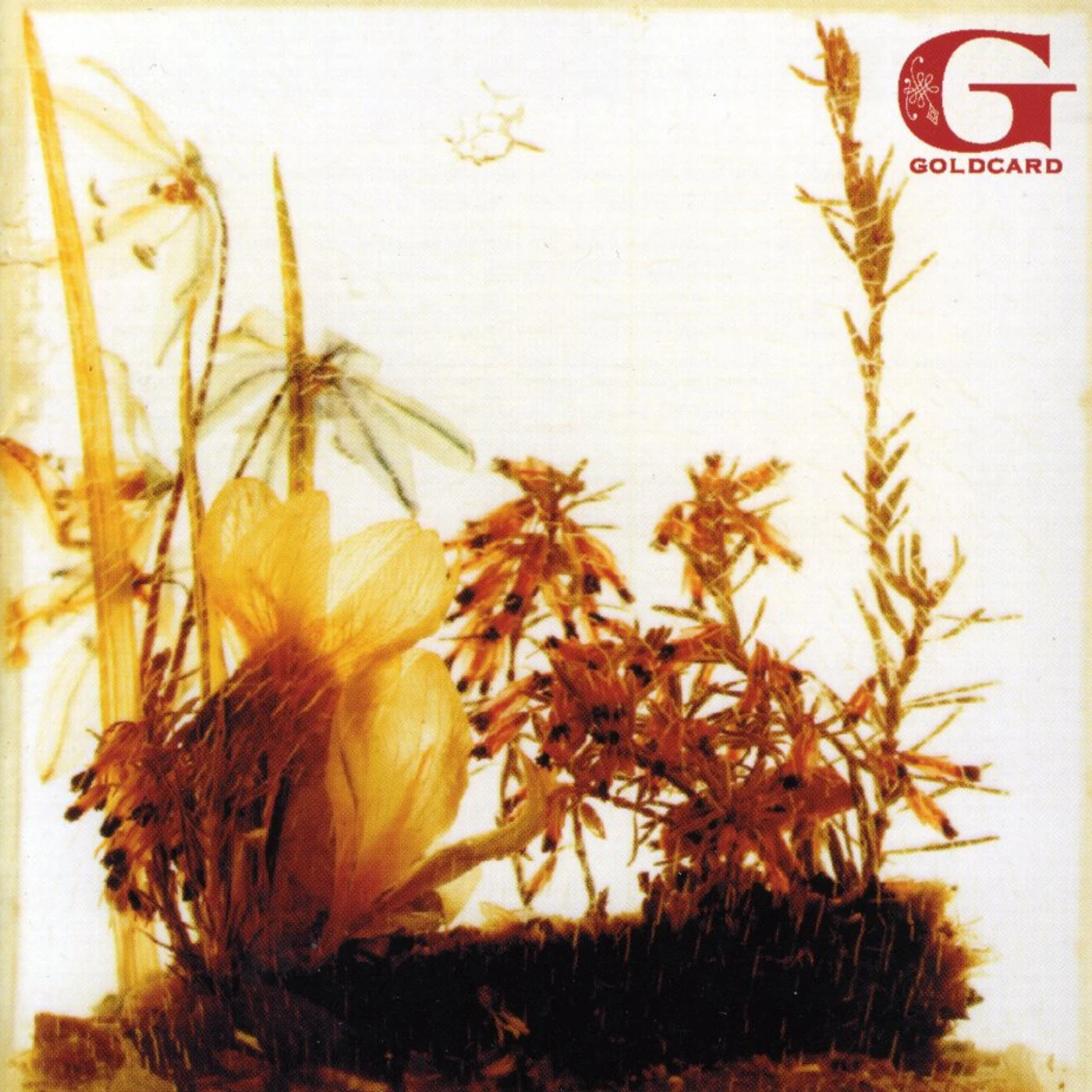GOLDCARD CD